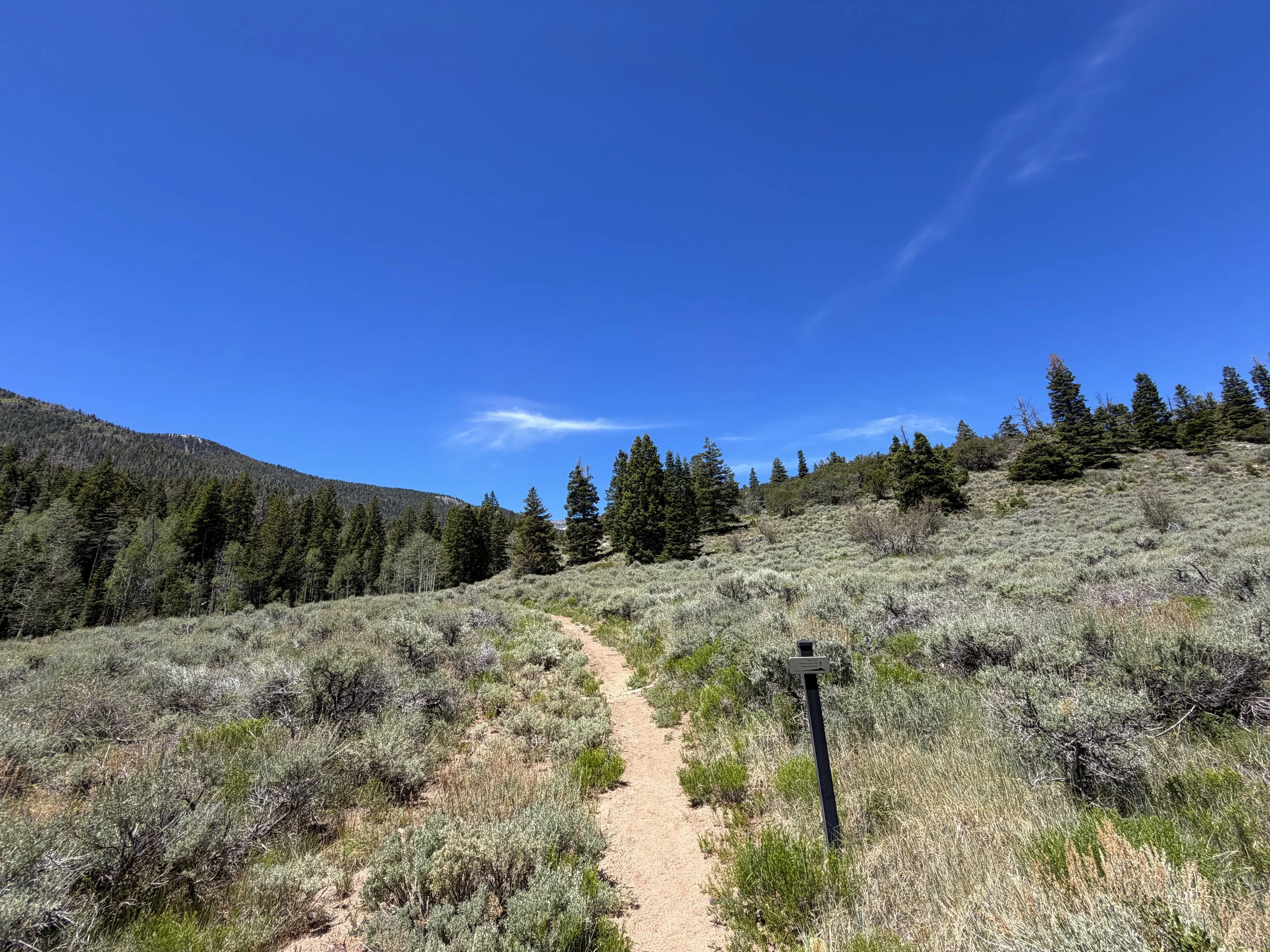 Dead Lake Trail Great Basin National Park Nevada