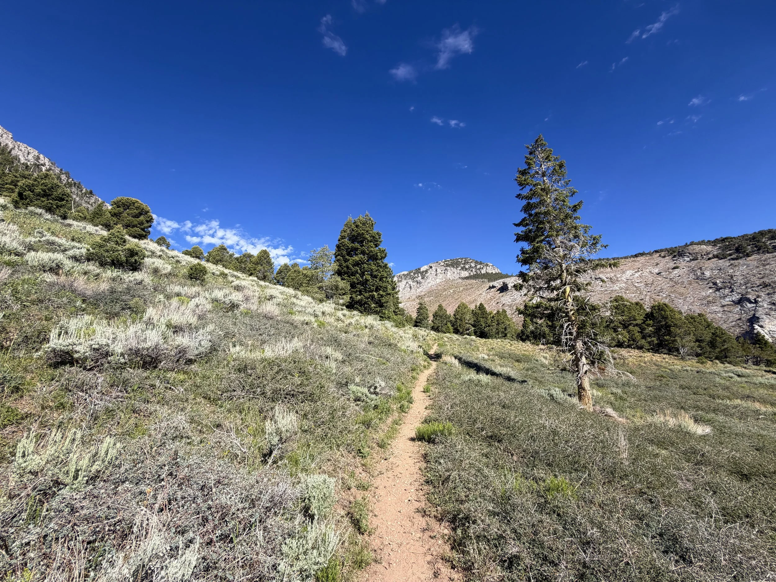 Lexington Arch Trail Great Basin National Park Nevada