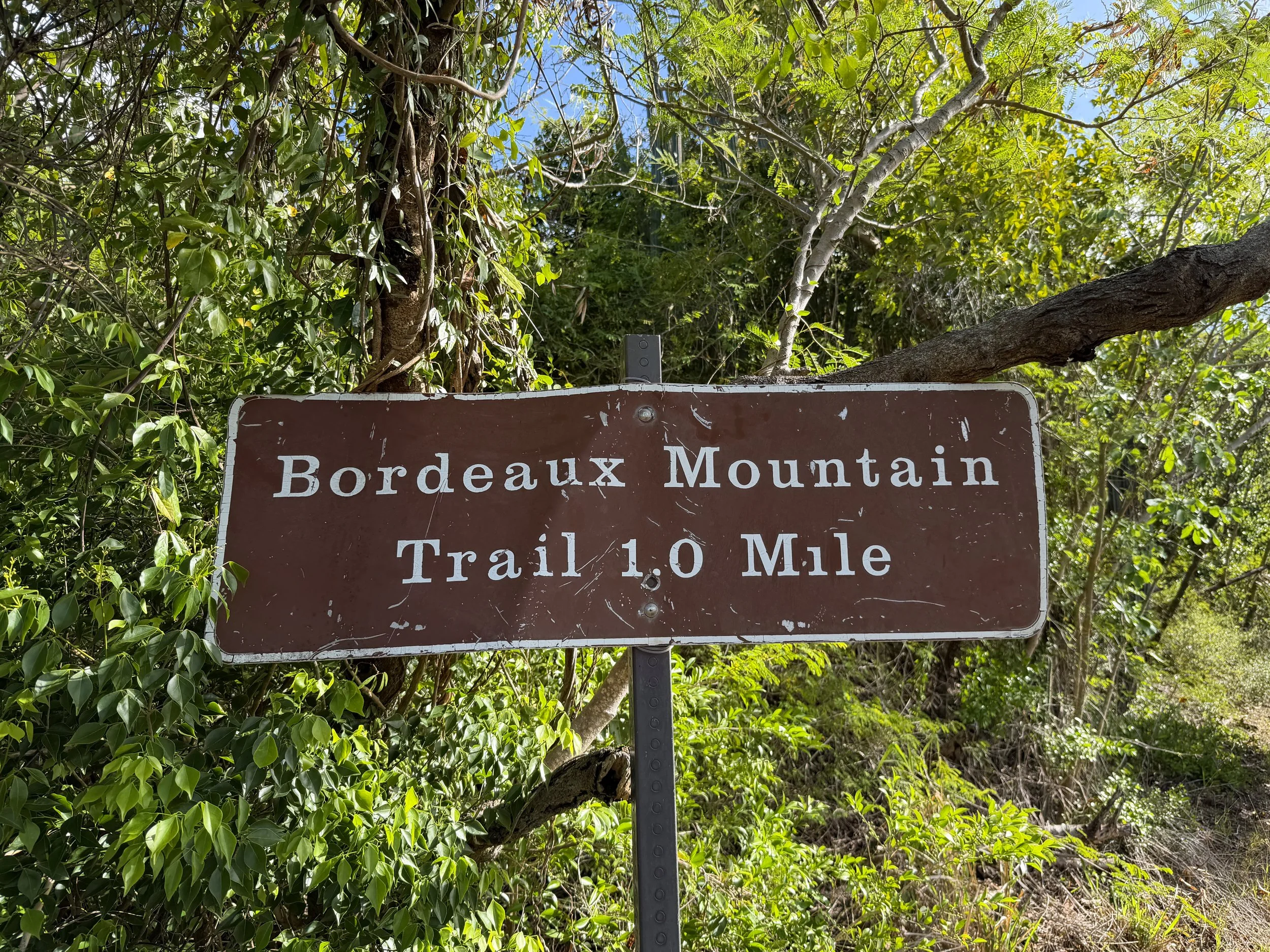 Bordeaux Mountain Trailhead Virgin Islands National Park
