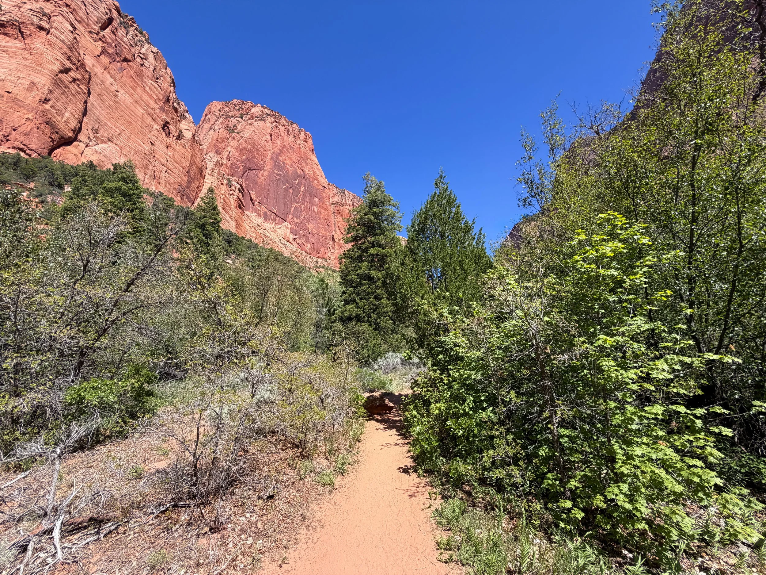 Taylor Creek Trail Zion National Park Utah