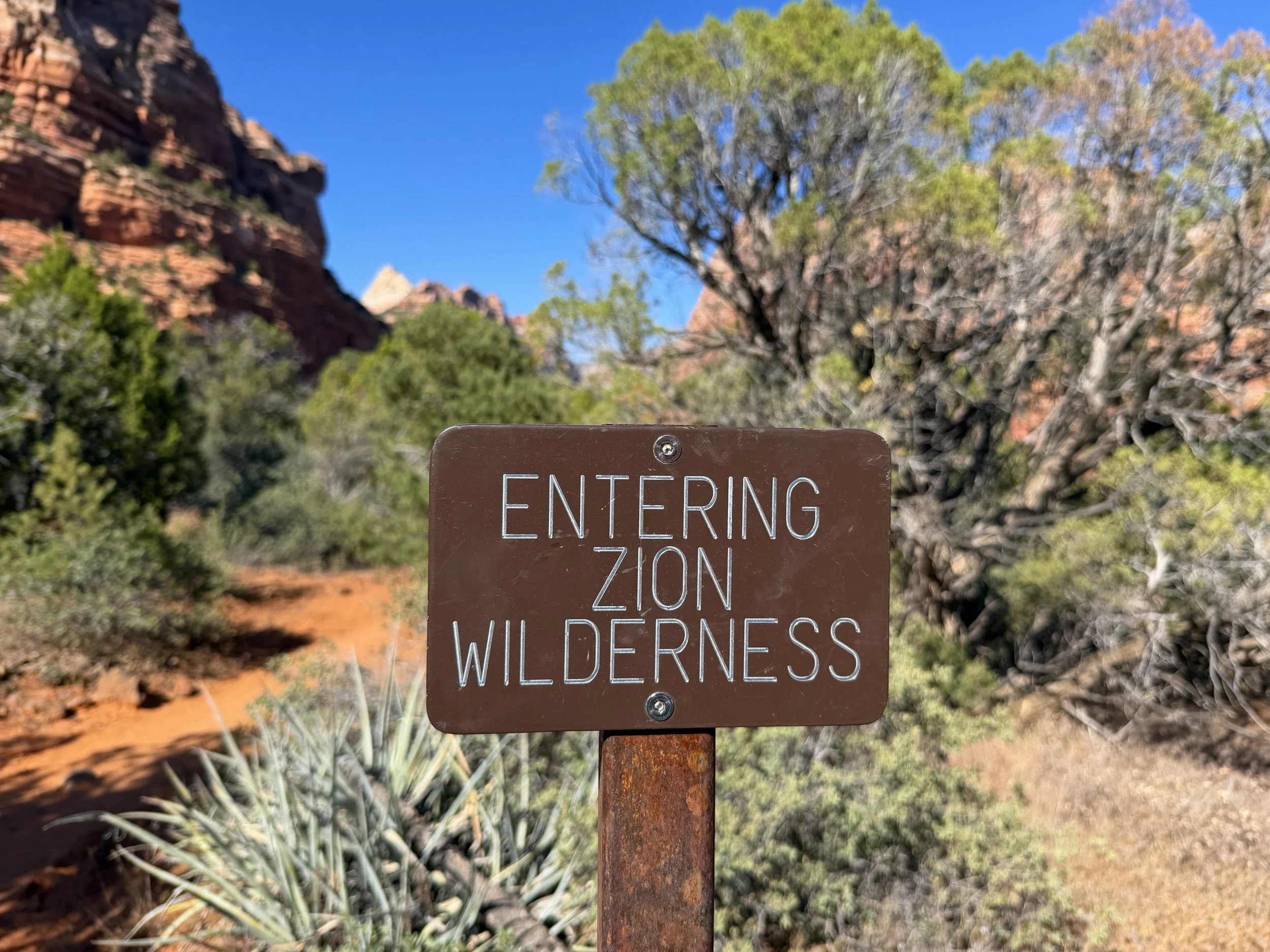 Left Fork Trail to the Subway Zion National Park Utah