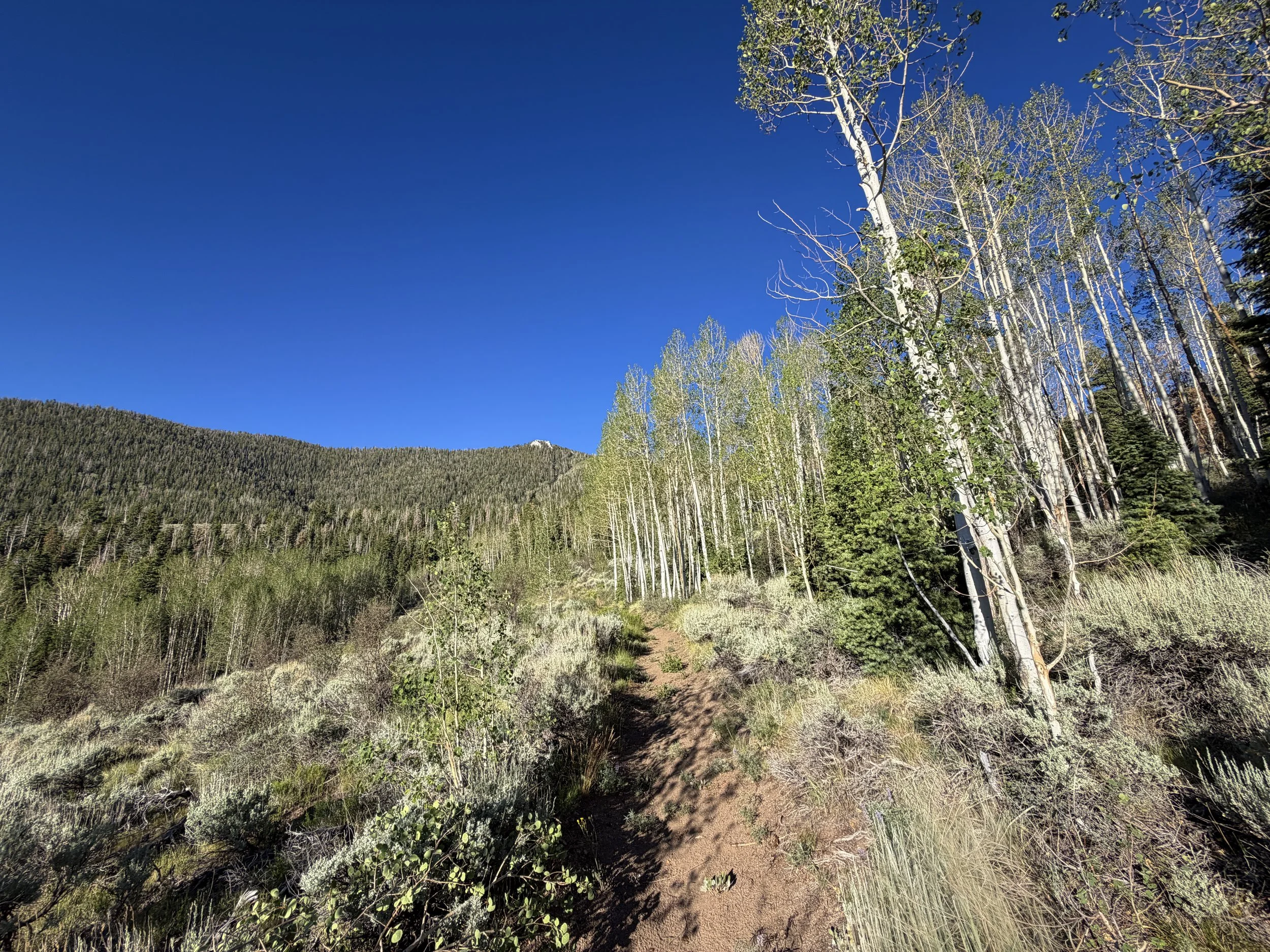 Snake Divide Trail Great Basin National Park Nevada