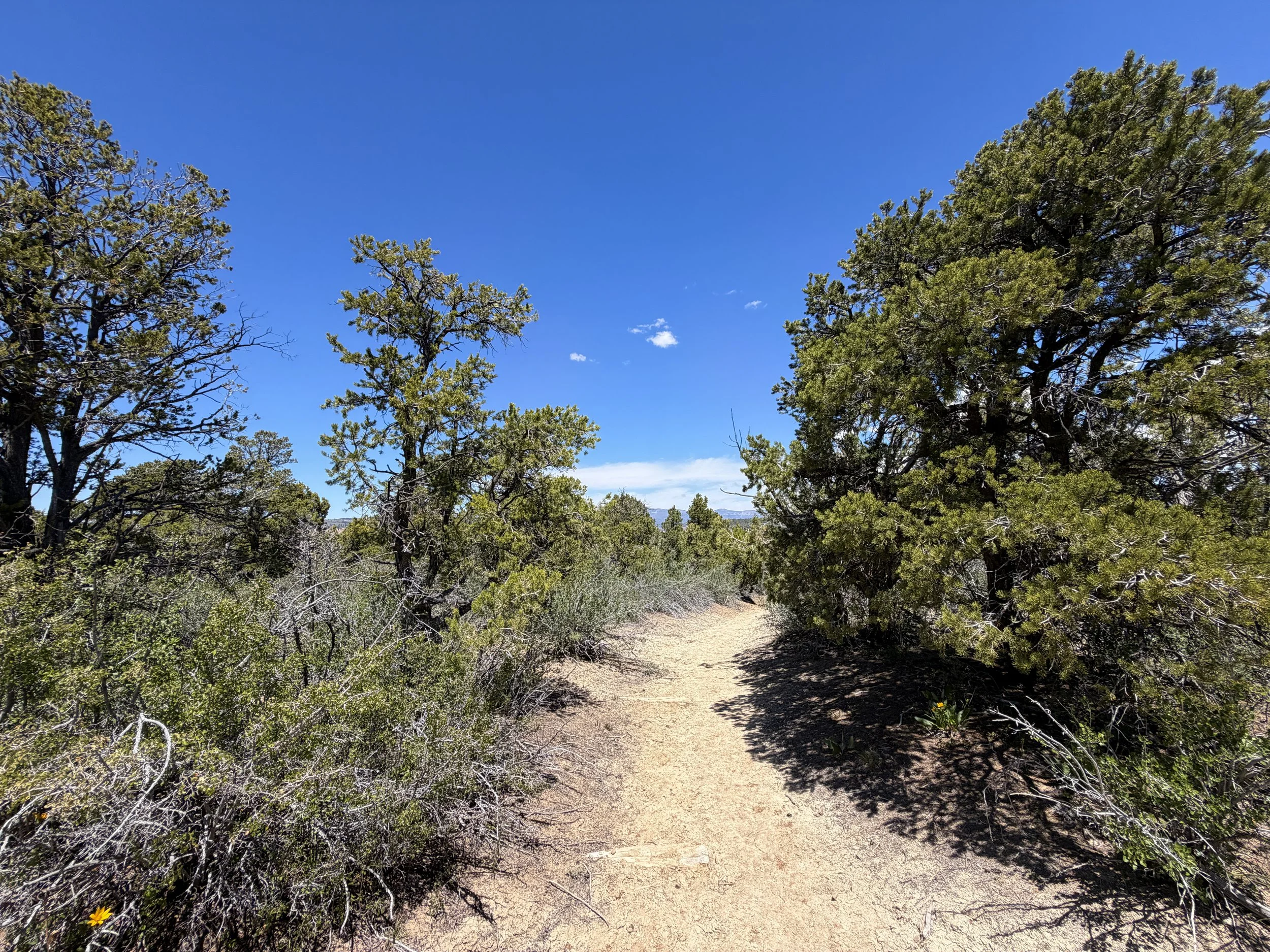 Cable Mountain Hike Zion National Park Utah
