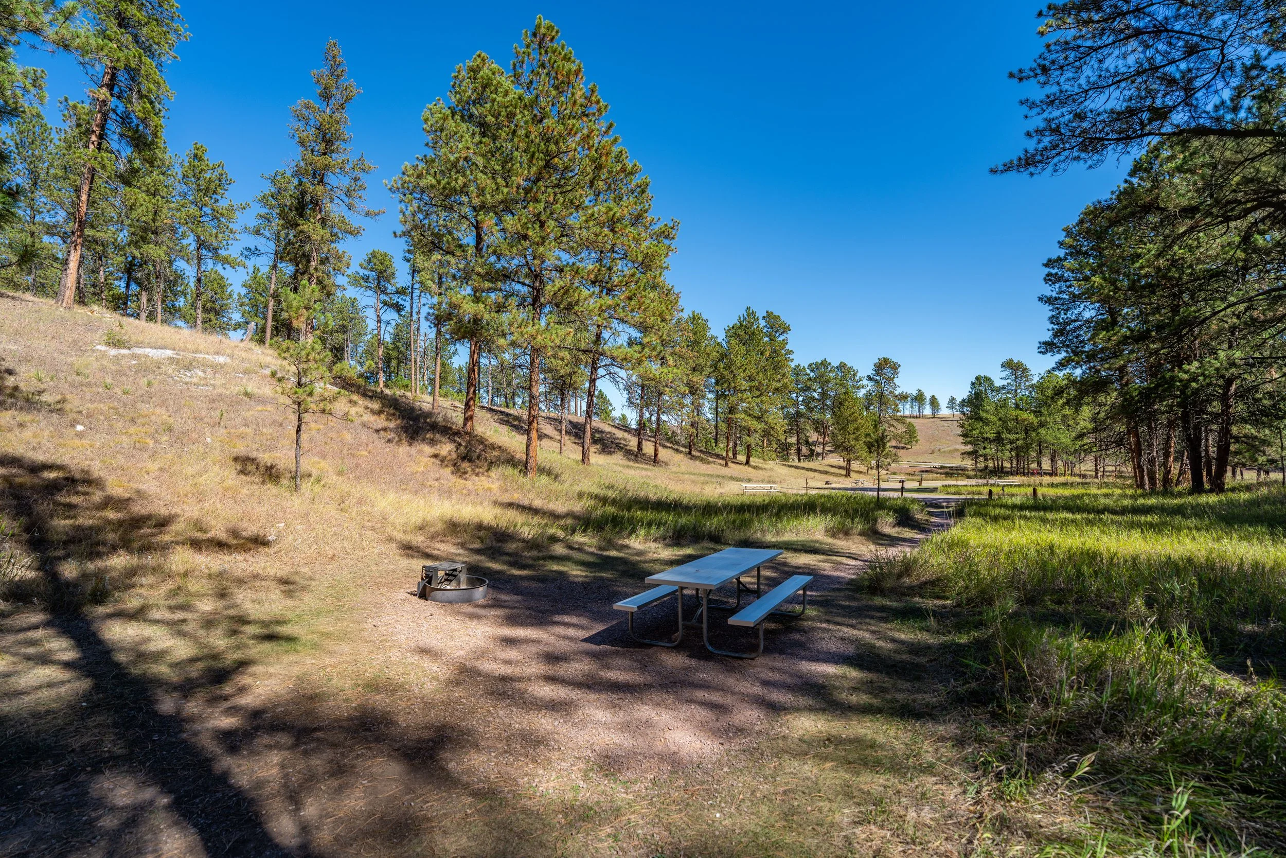 Elk Mountain Campground Wind Cave National Park