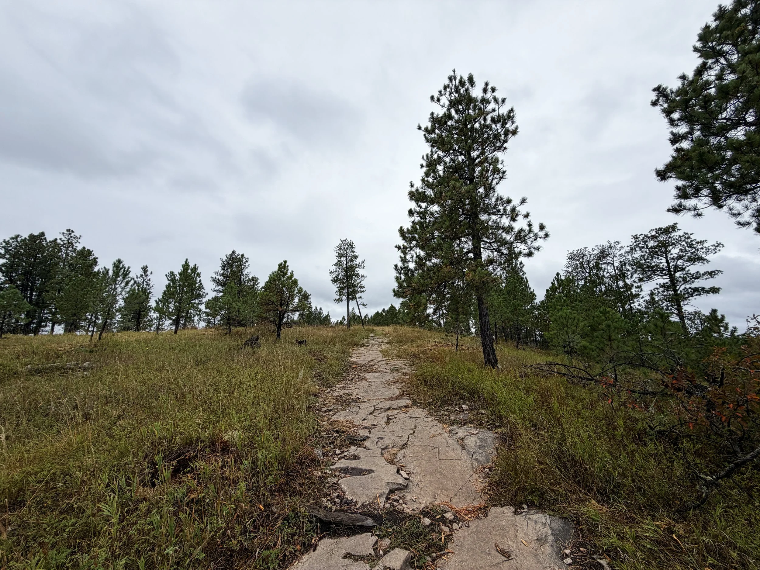 Buzzards Roost Trail Black Hills Rapid City South Dakota