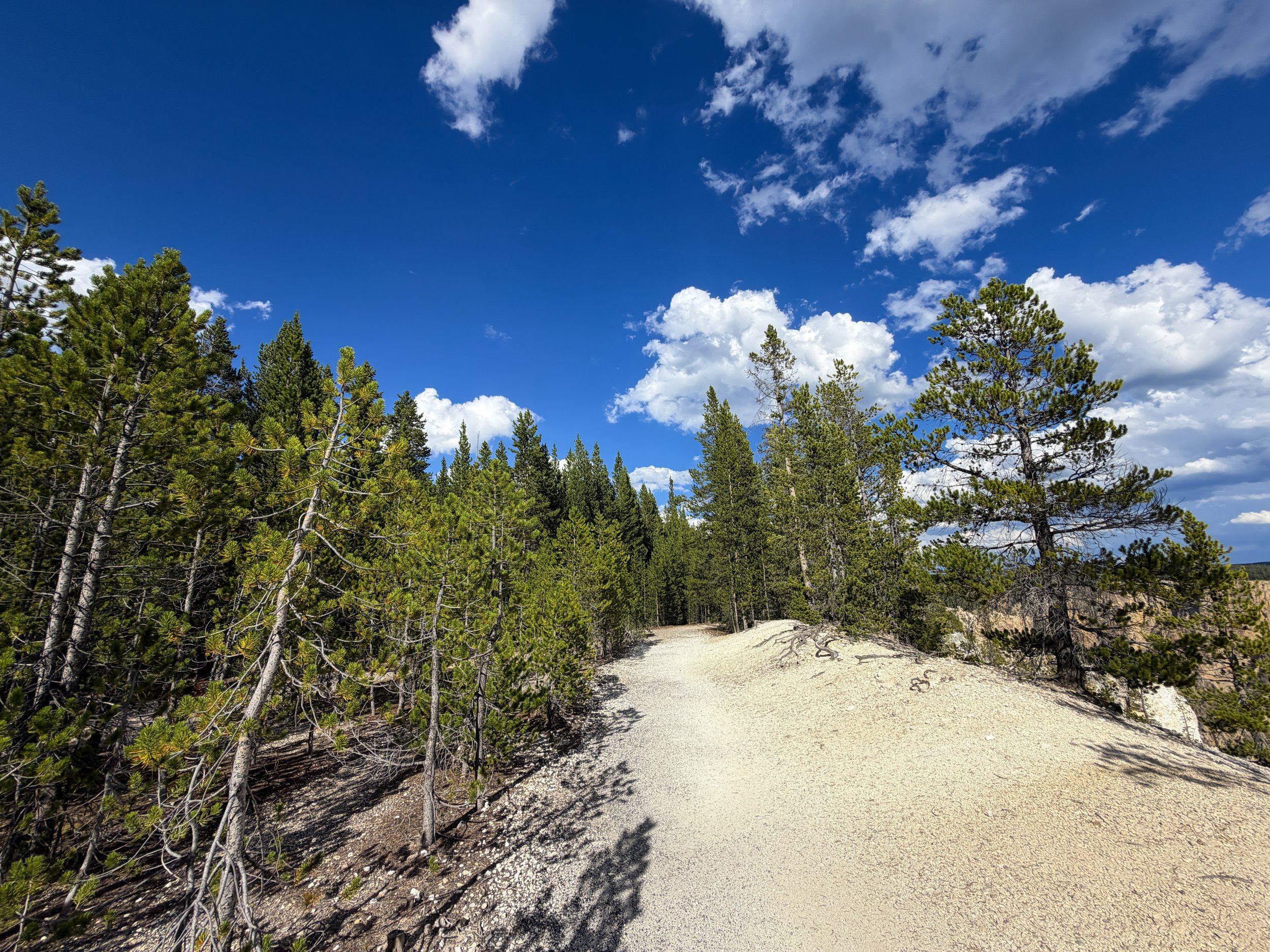 North Rim Trail Yellowstone National Park Wyoming