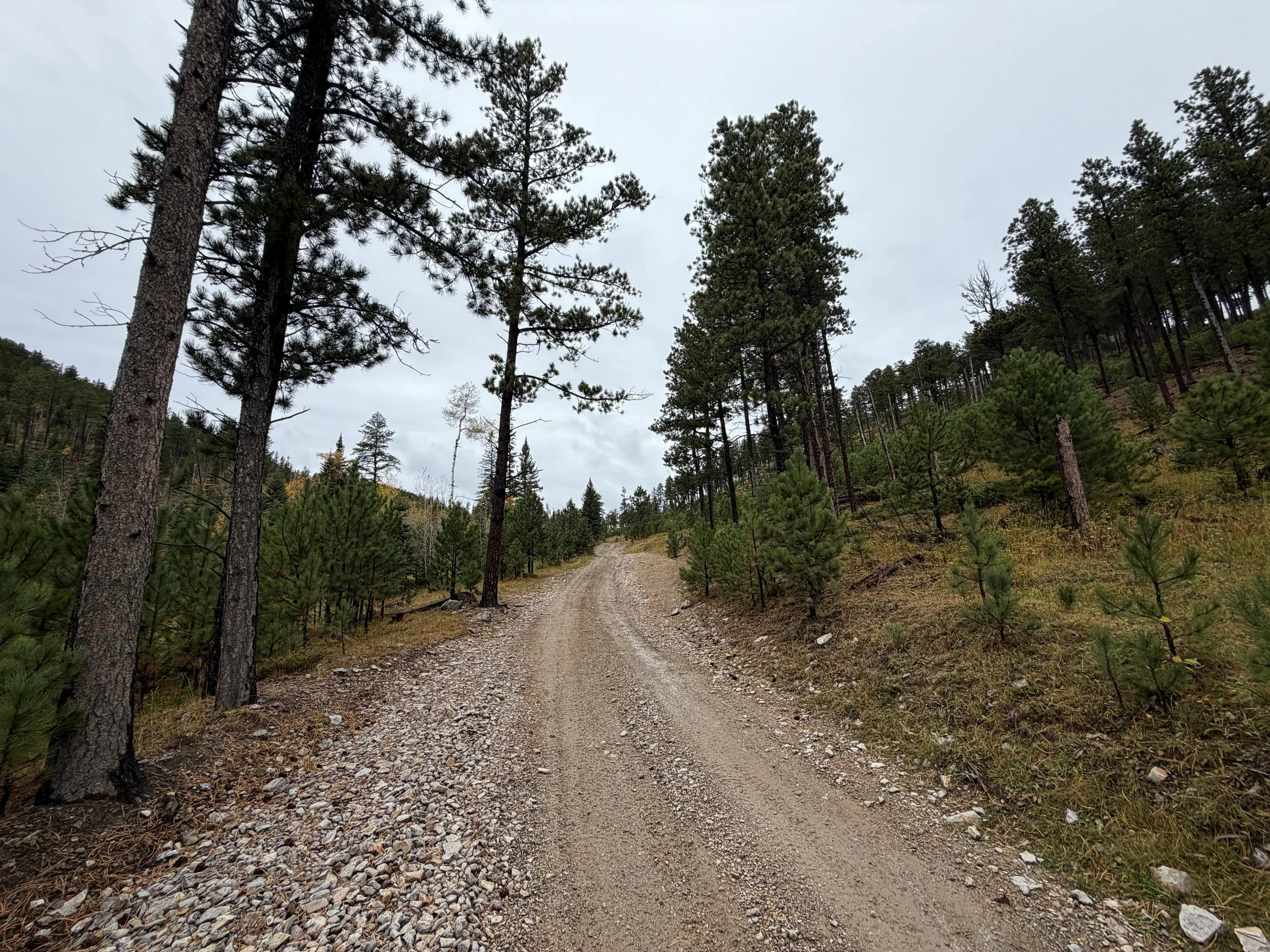 Custer Peak Lookout Trail Black Hills South Dakota