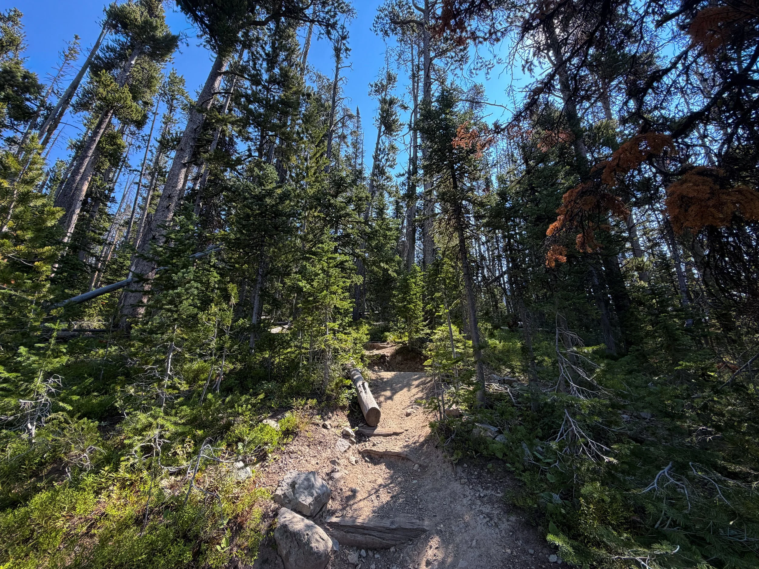 Avalanche Peak Trail Yellowstone National Park Wyoming