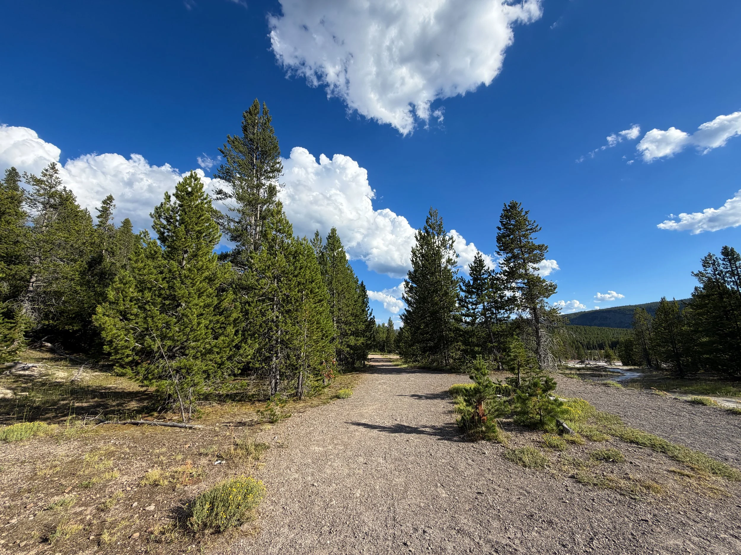 Artemisia Trailhead to the Morning Glory Pool Yellowstone National Park Wyoming
