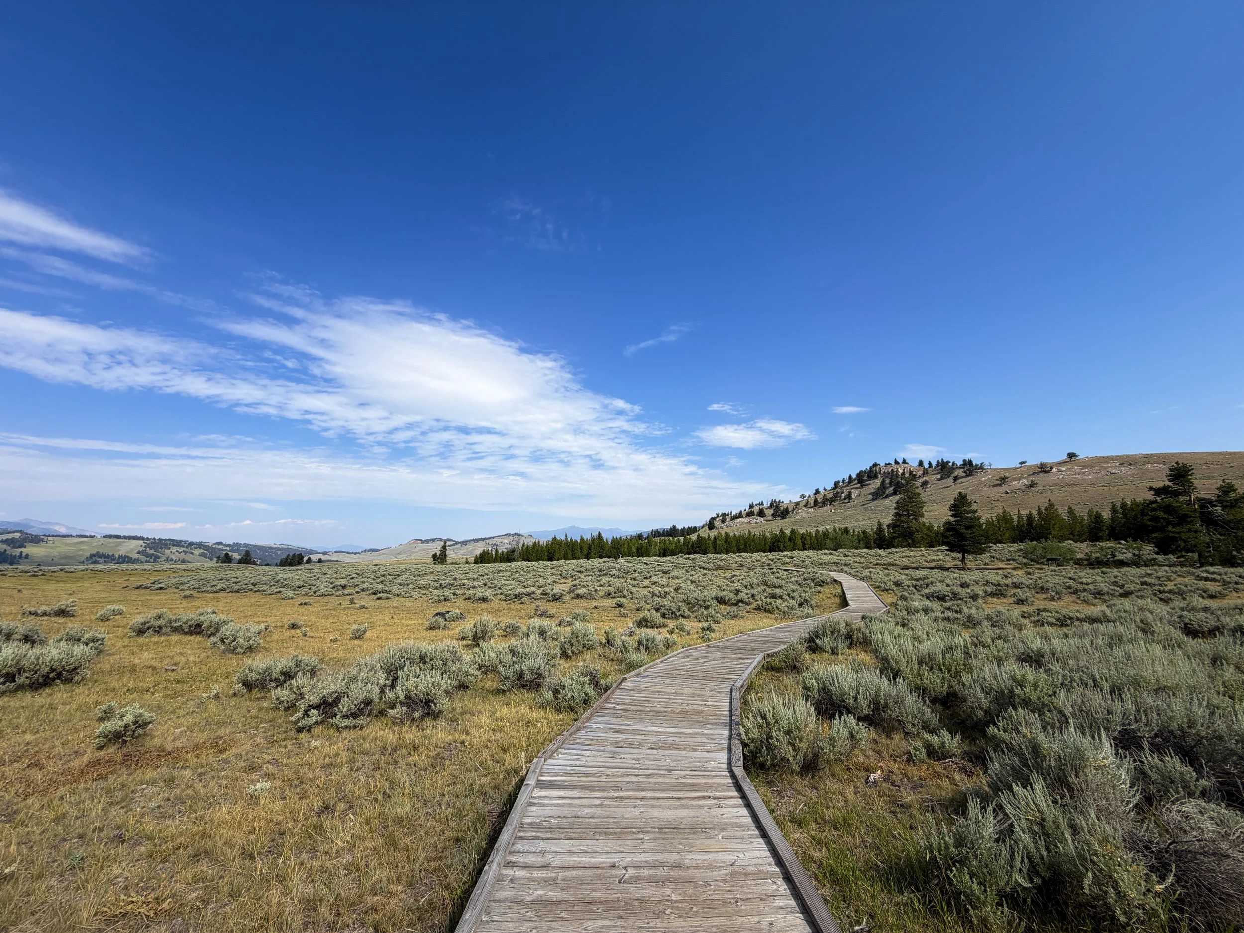 Forces of the Northern Range Trail Yellowstone National Park Wyoming