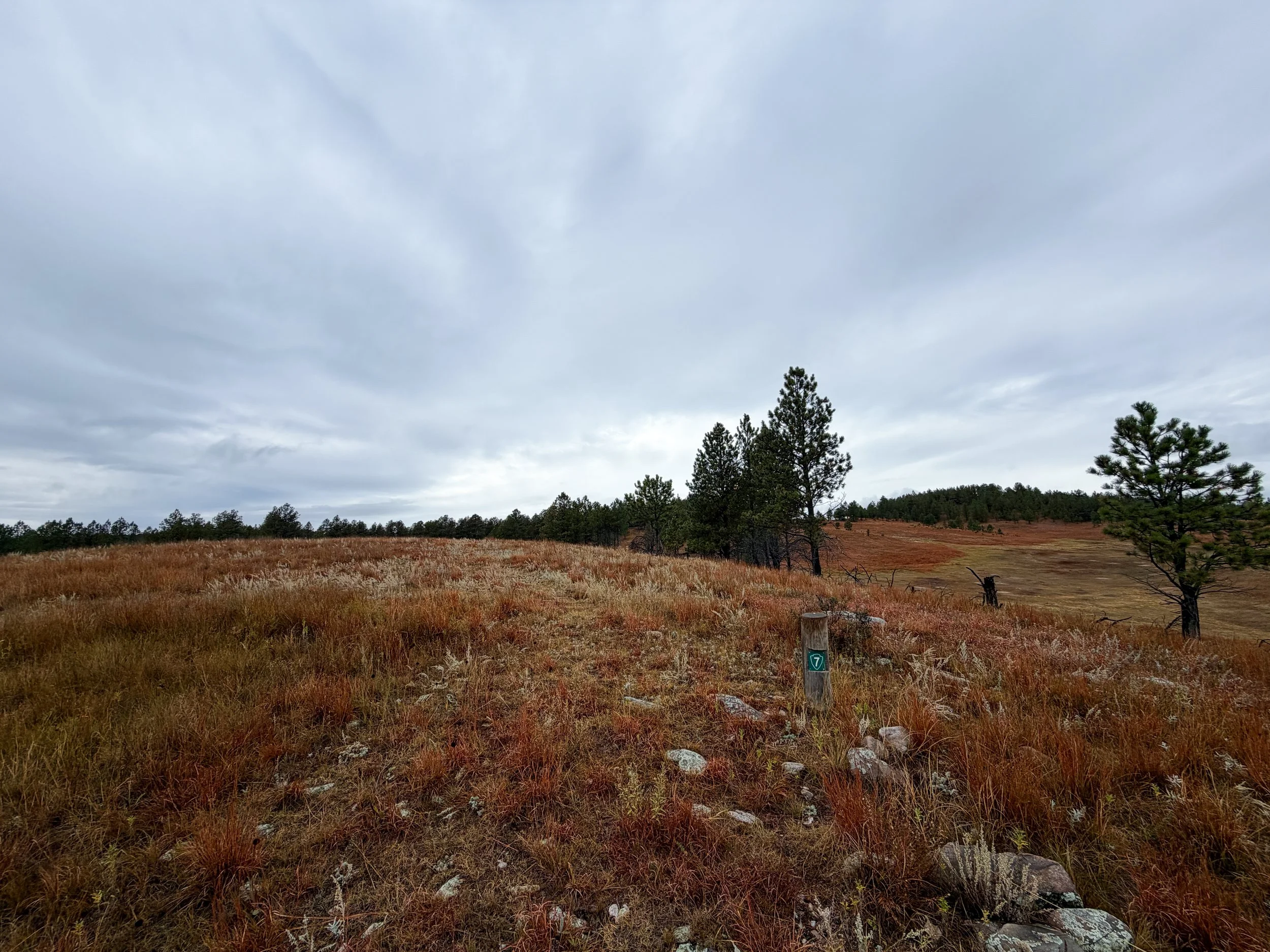 Highland Creek Trail to Wind Cave Canyon Wind Cave National Park South Dakota