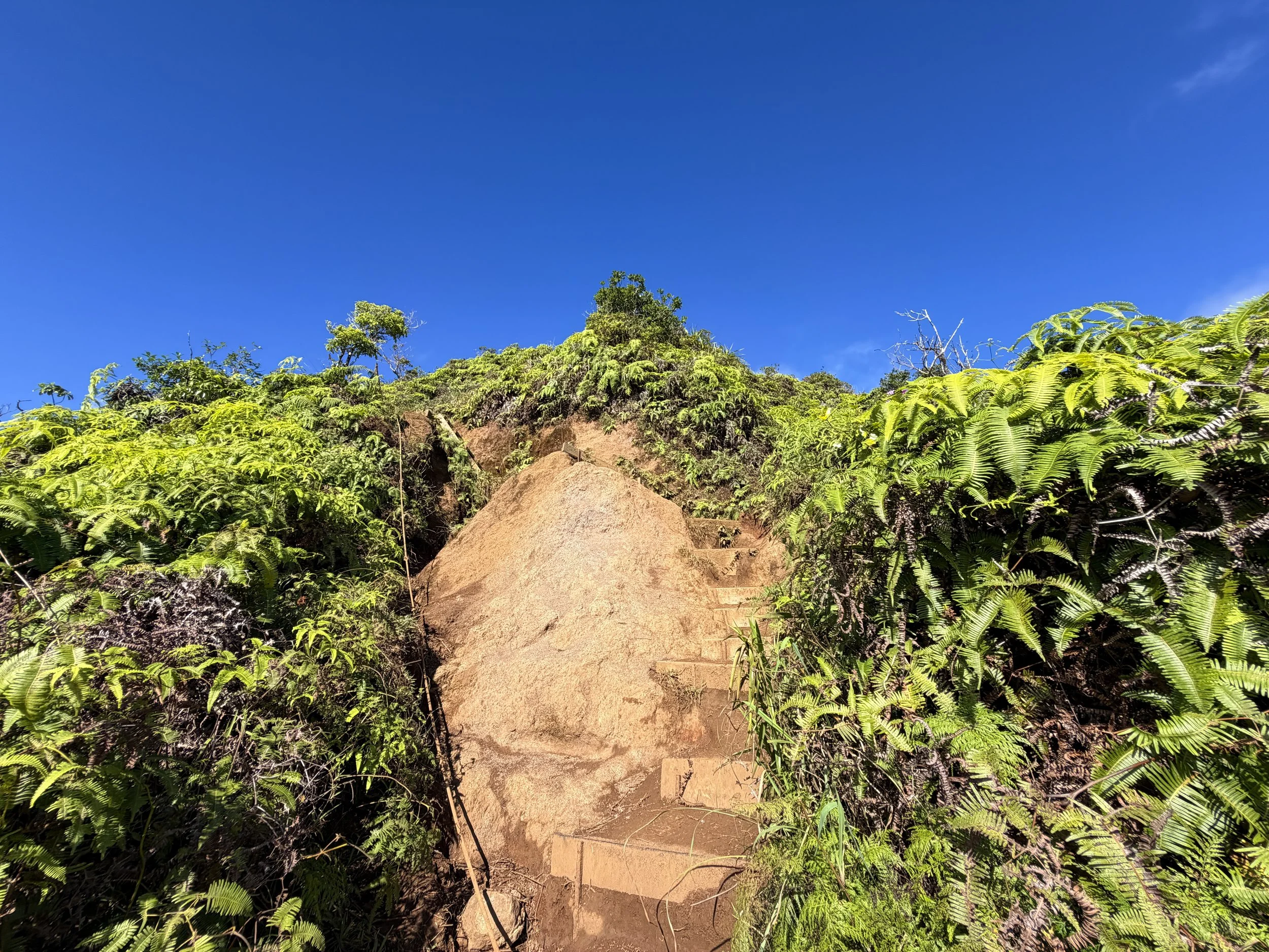 Wiliwilinui Ridge Hike Stairs Oahu Hawaii