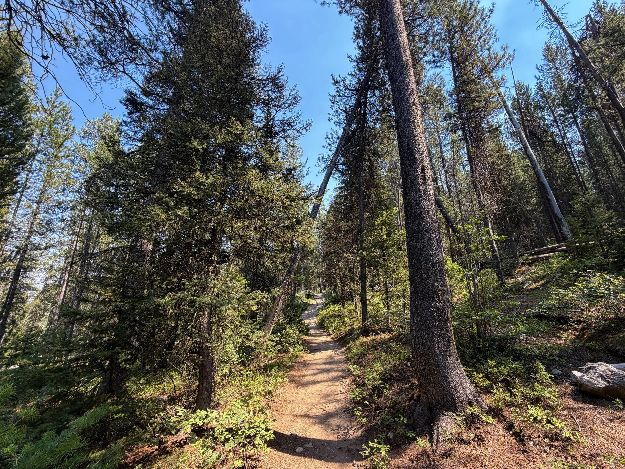 Phelps Lake Loop Trail Grand Teton National Park Wyoming