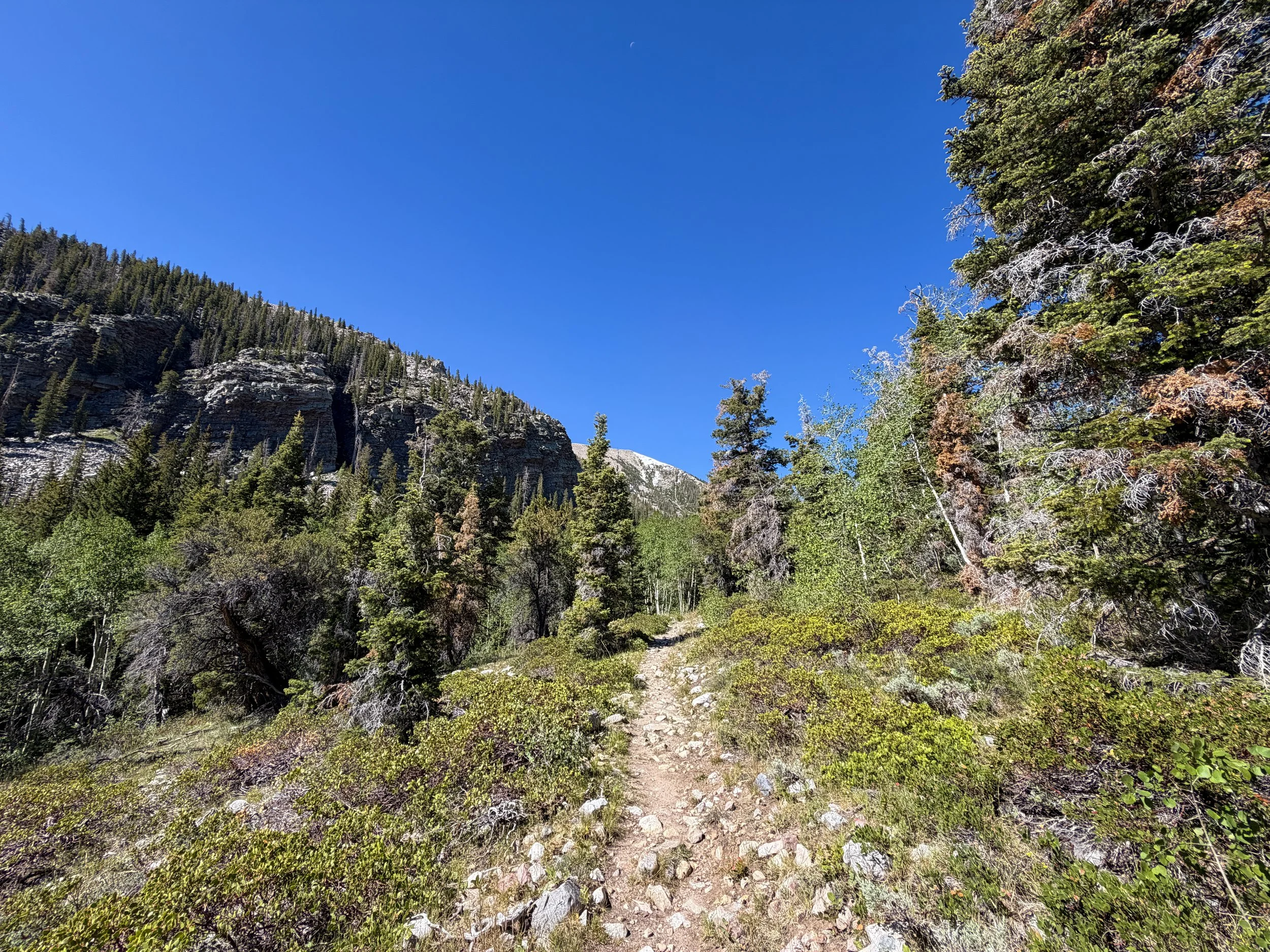 Baker Lake Hike Great Basin National Park Nevada