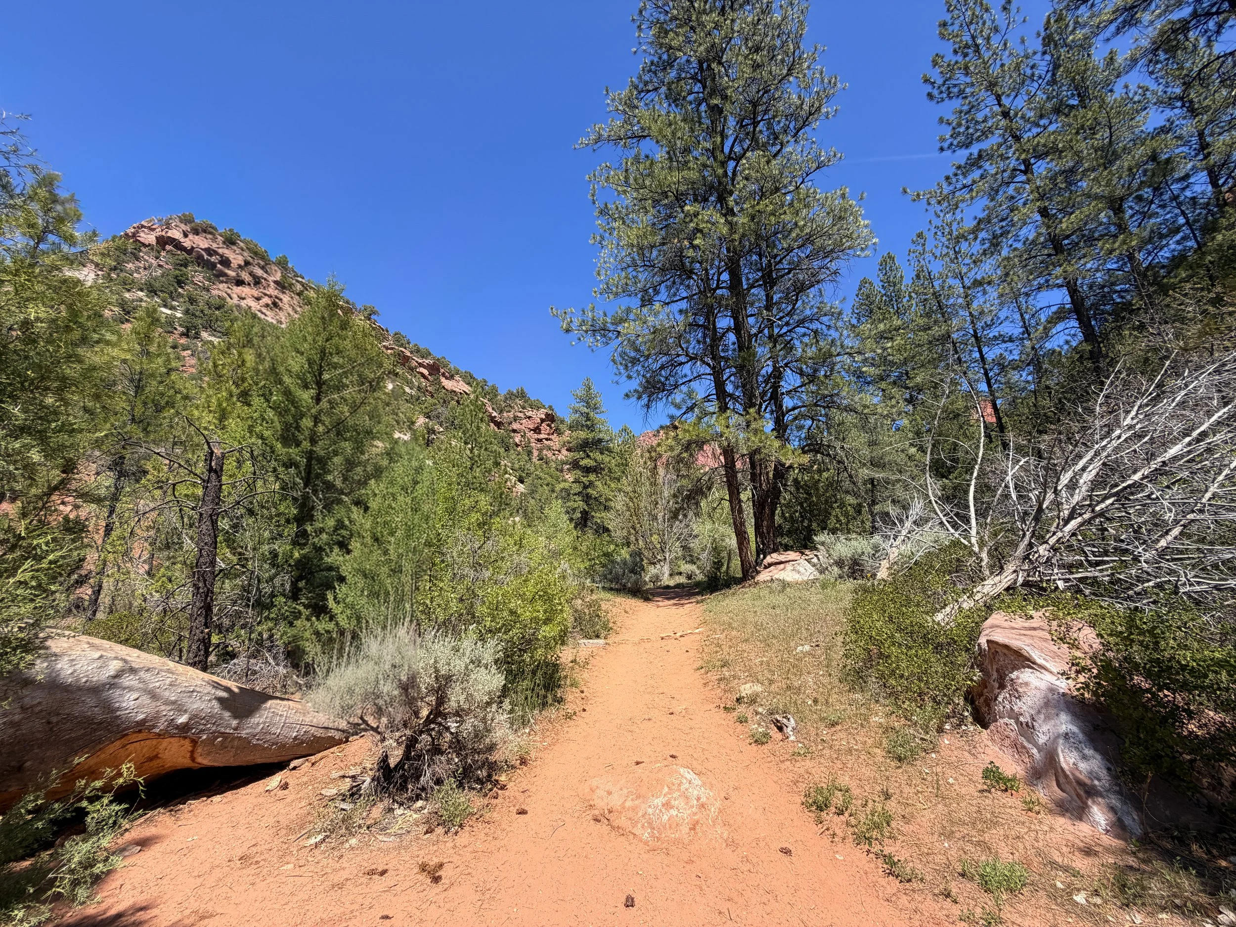 Middle Taylor Creek Trail Zion National Park Utah