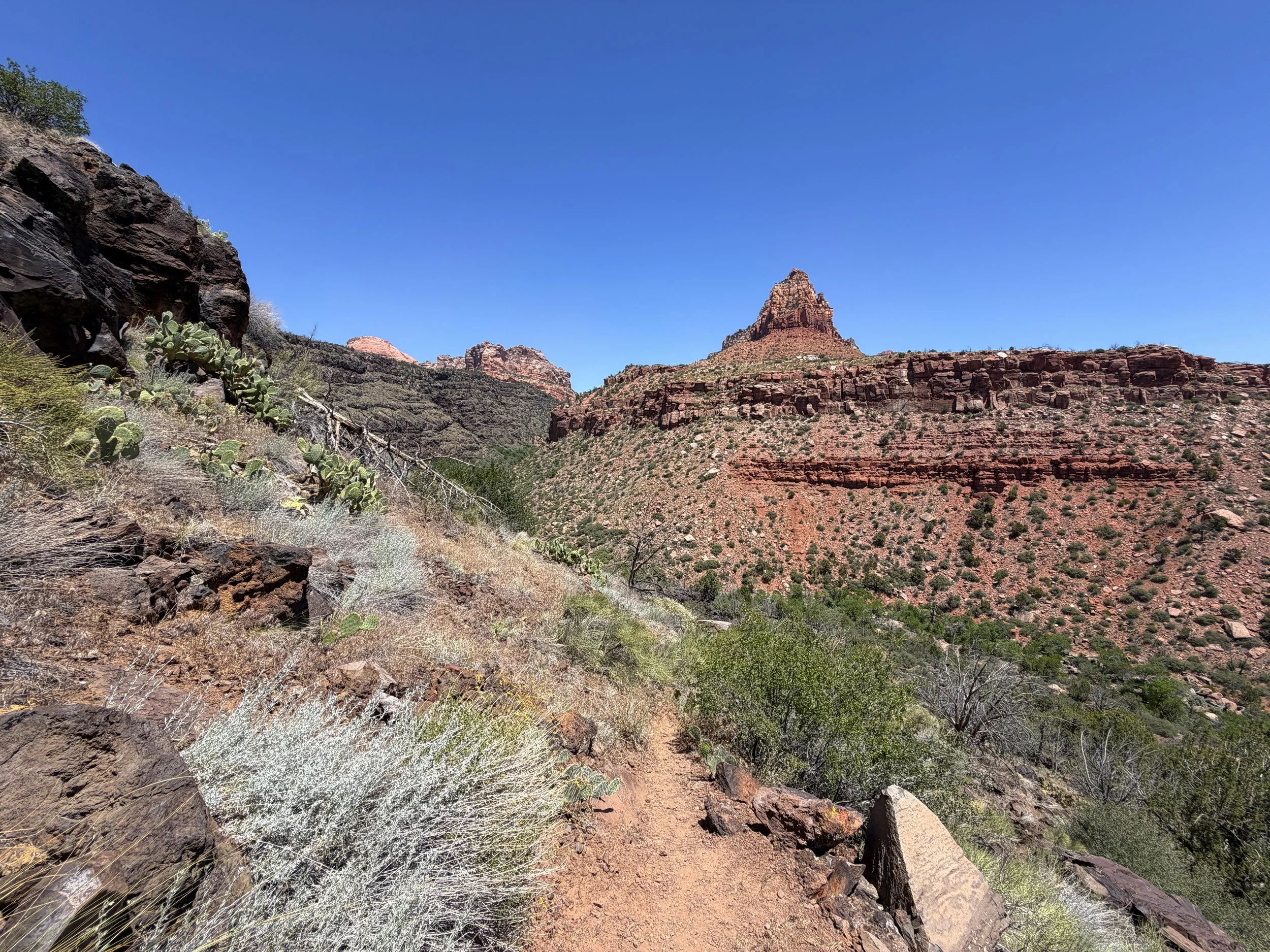 Grapevine Trail Zion National Park Utah