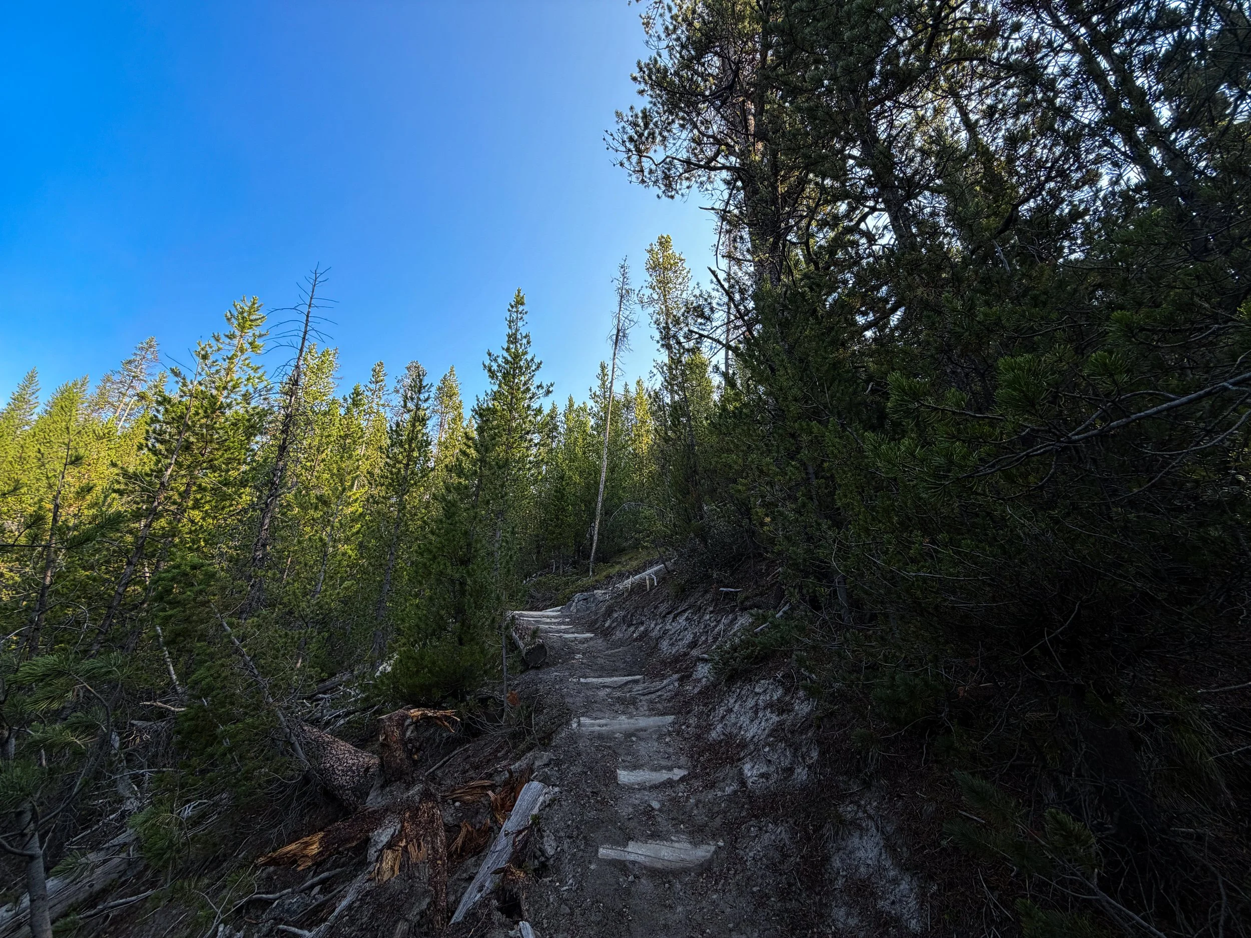 Natural Bridge Trail Yellowstone National Park Wyoming