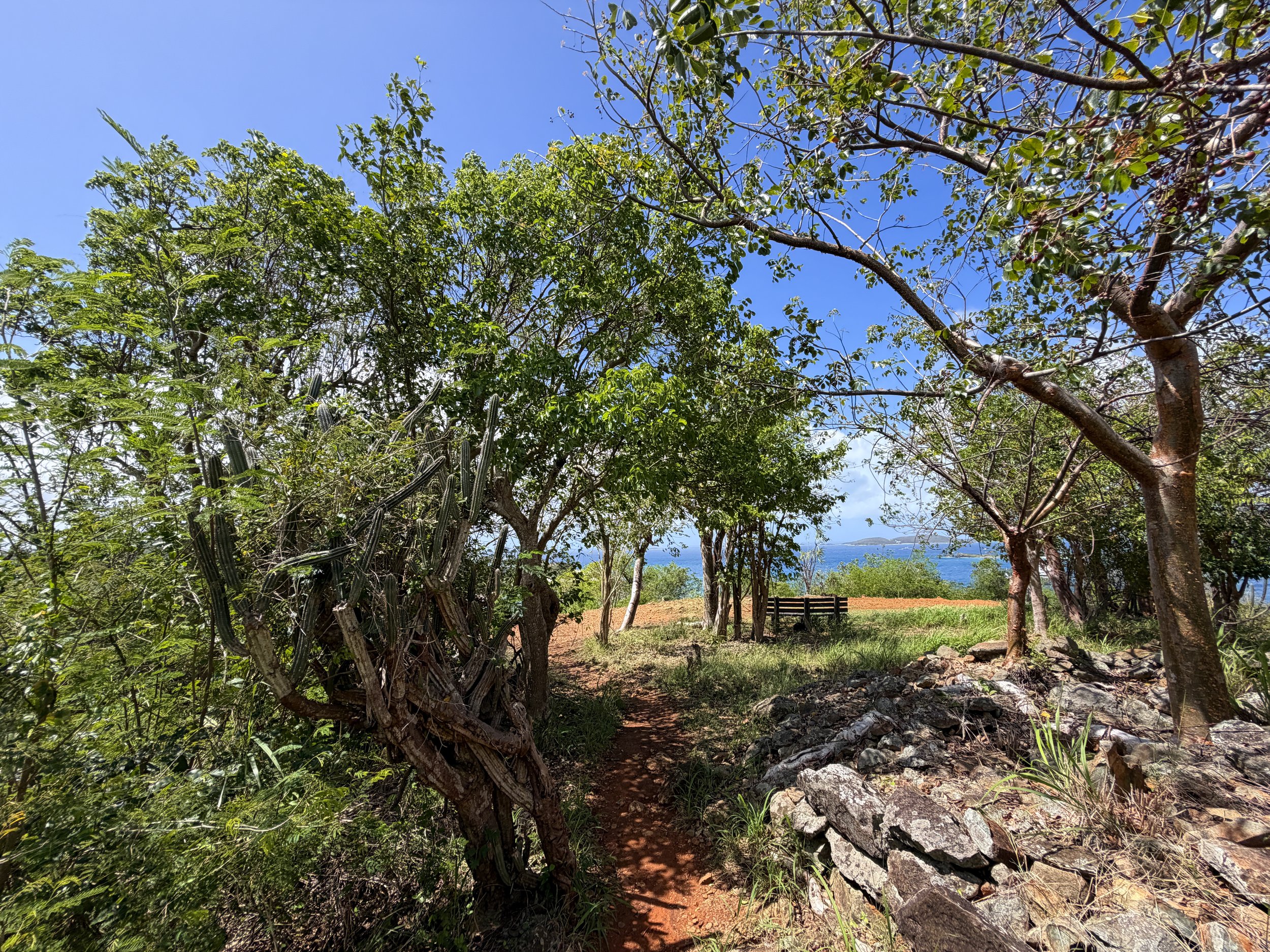 Lind Point Overlook Trail Virgin Islands National Park