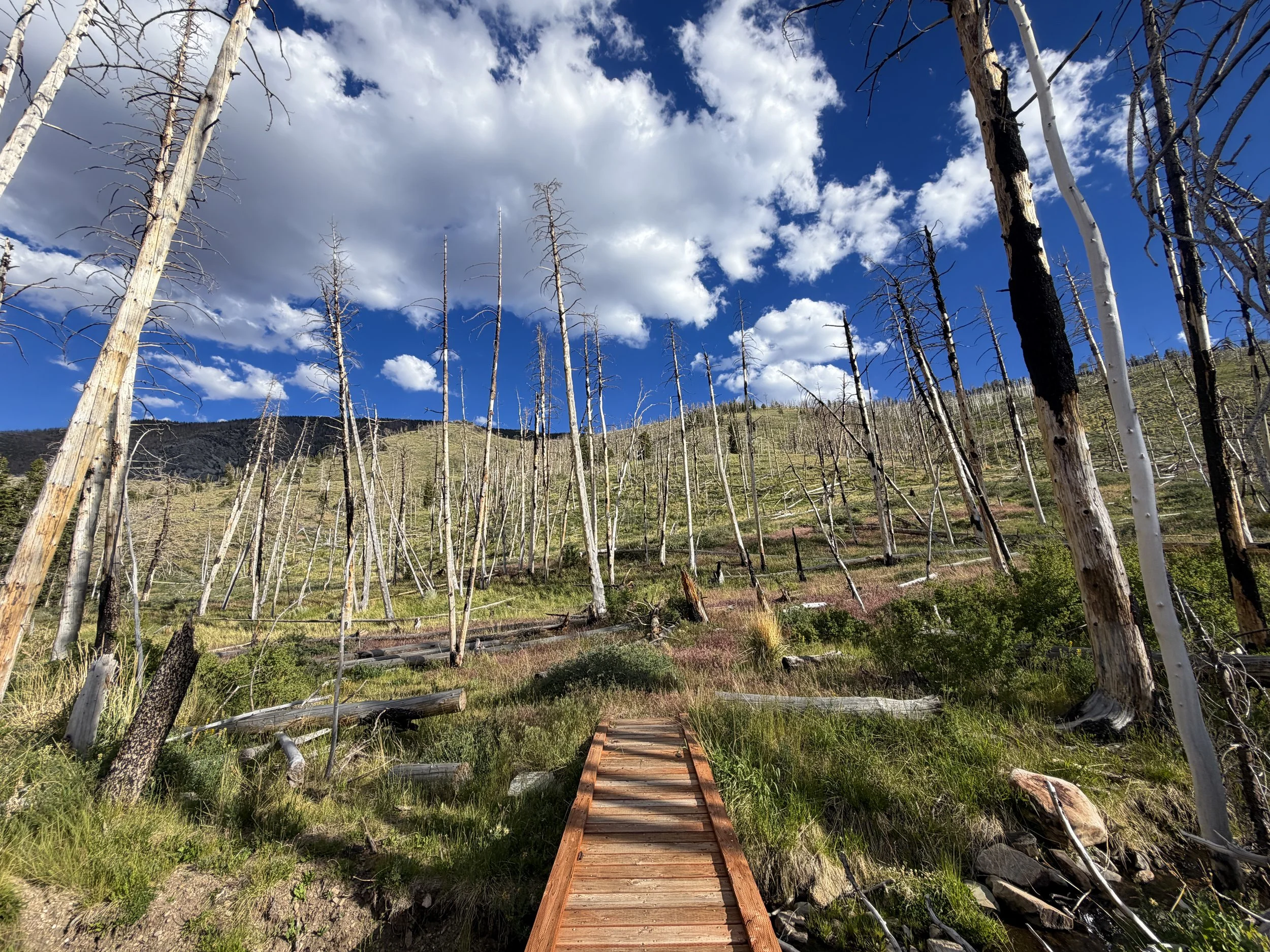 Sage Steppe Loop Trail Great Basin National Park Nevada