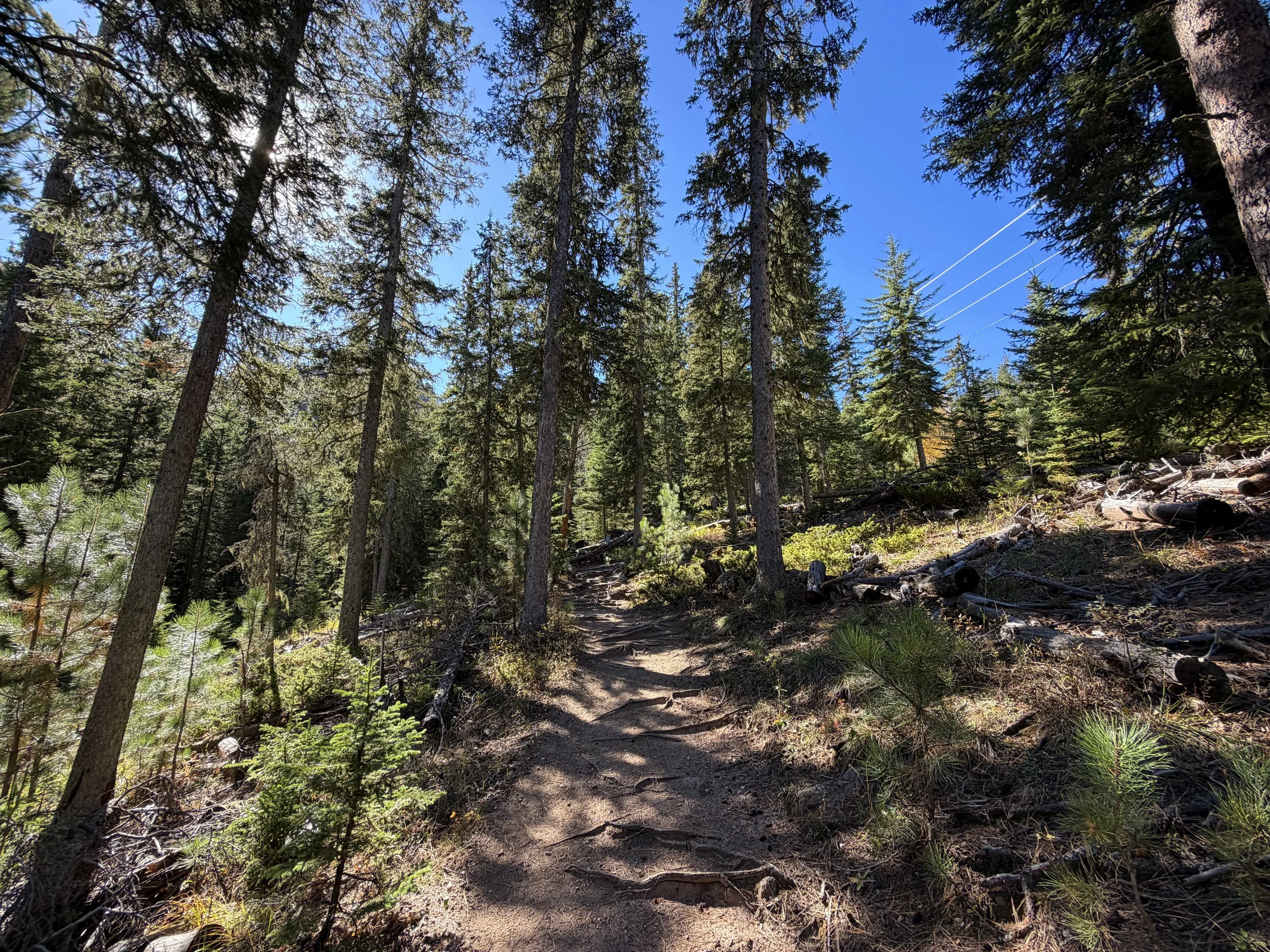 Sunday Gulch Trail Custer State Park Black Hills South Dakota