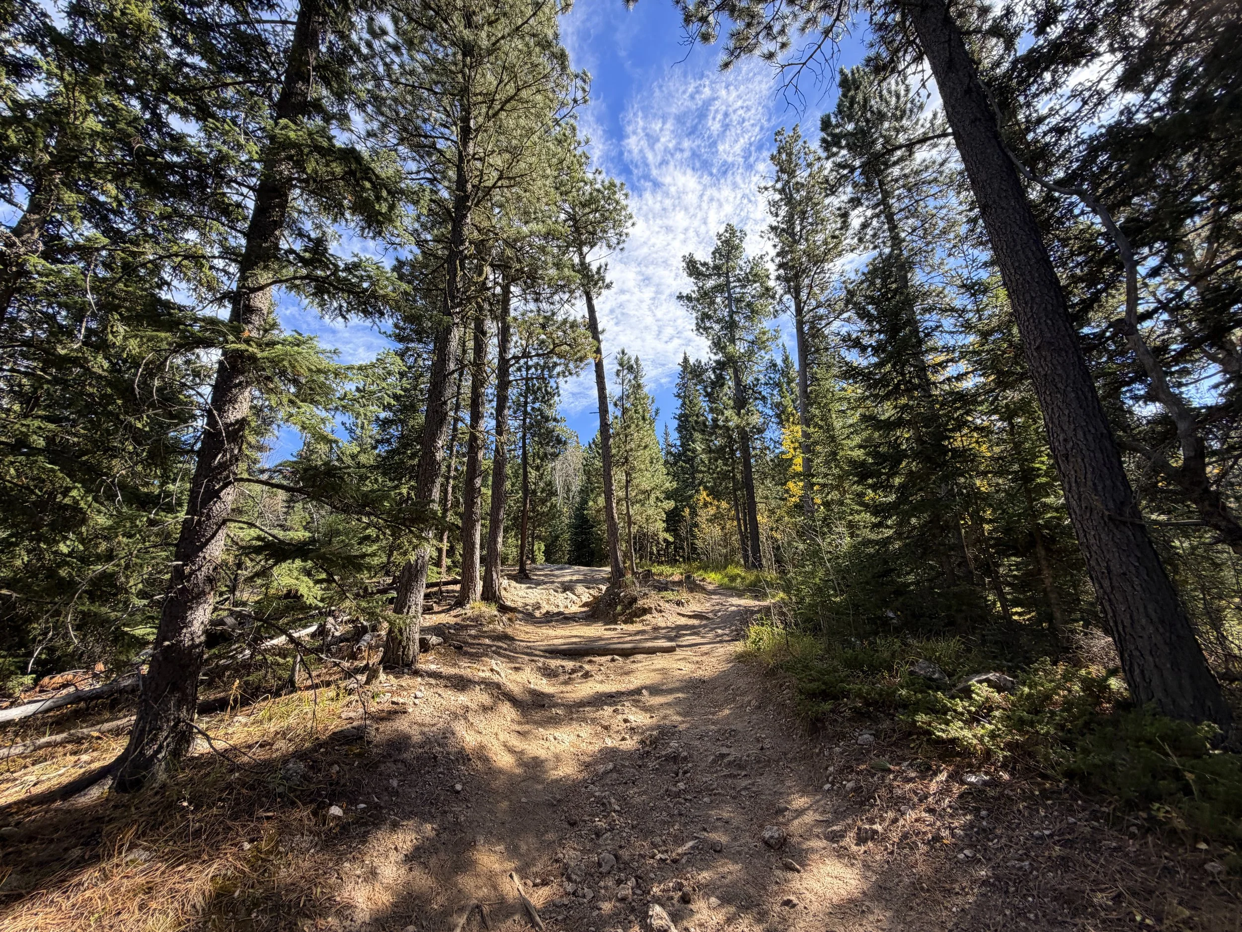 Black Elk Peak Hike Custer State Park Black Hills South Dakota