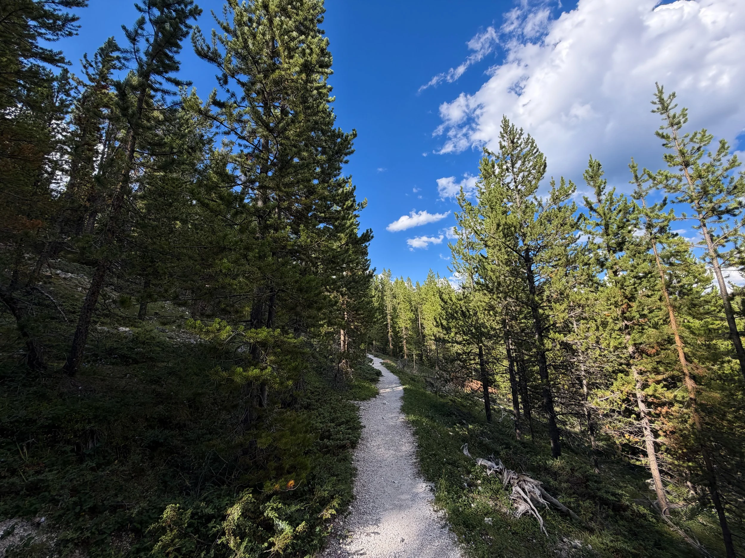 North Rim Trail Yellowstone National Park Wyoming