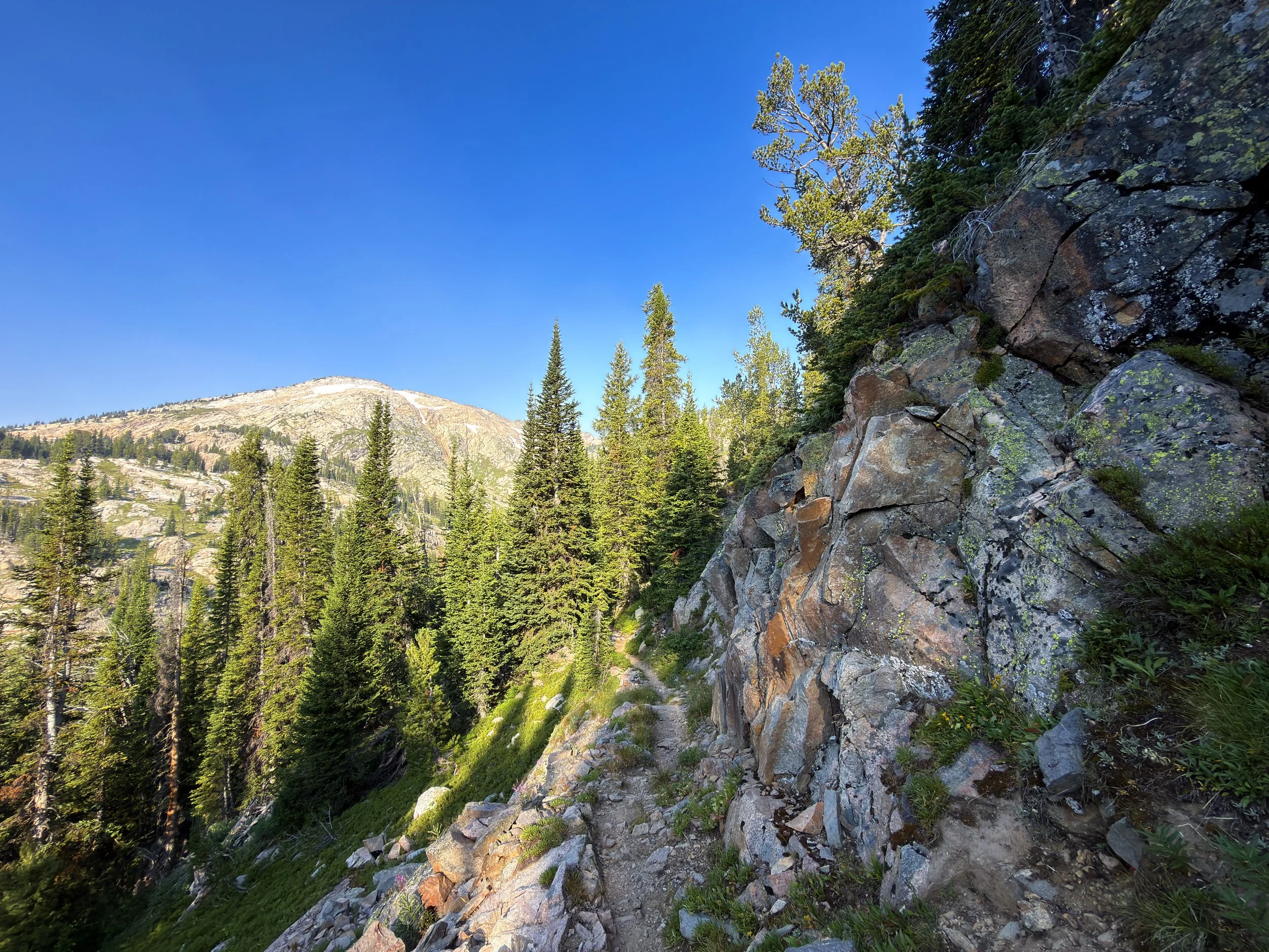 Beaten Path Trail Beartooth Mountains Montana
