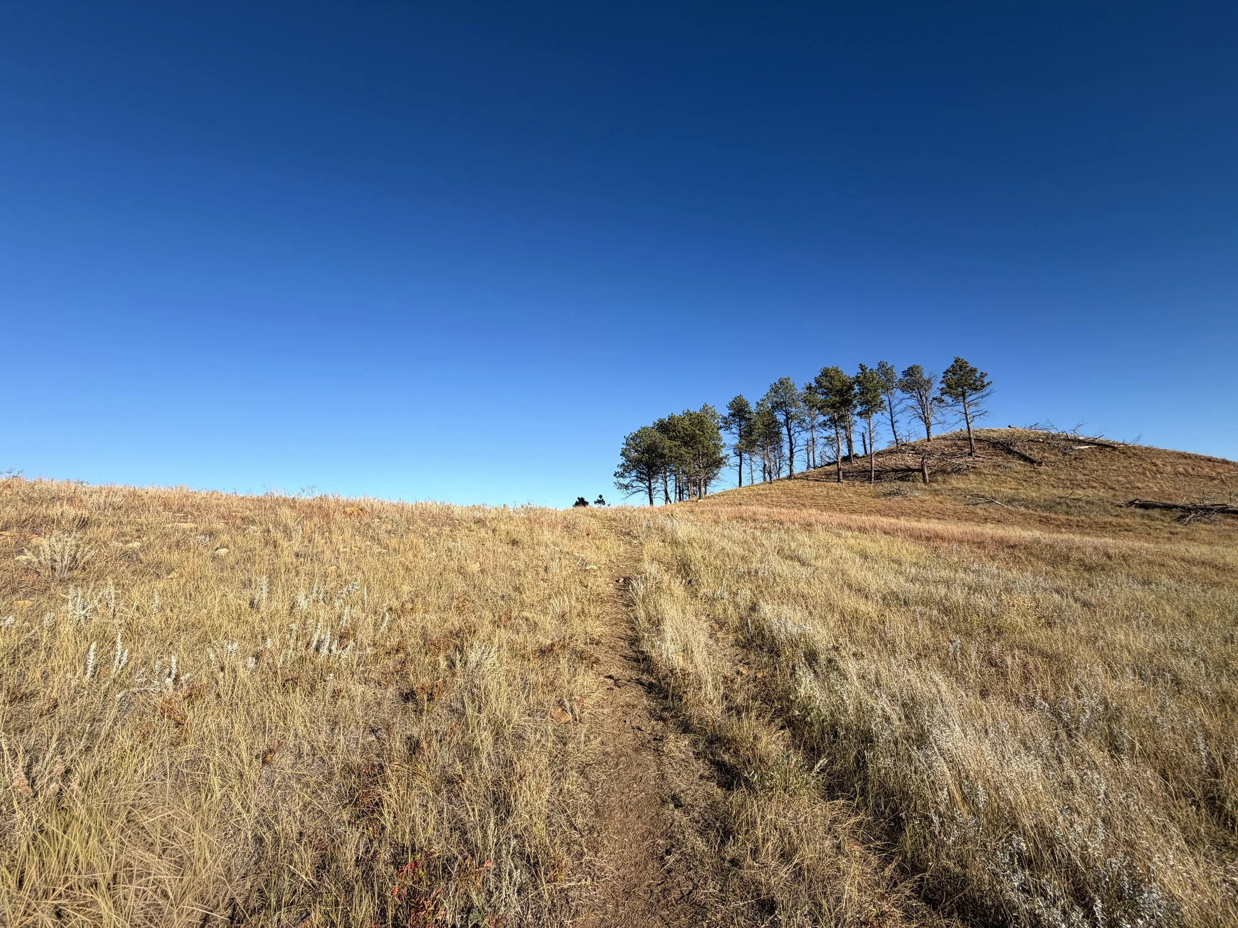 Boland Ridge Trail Wind Cave National Park South Dakota