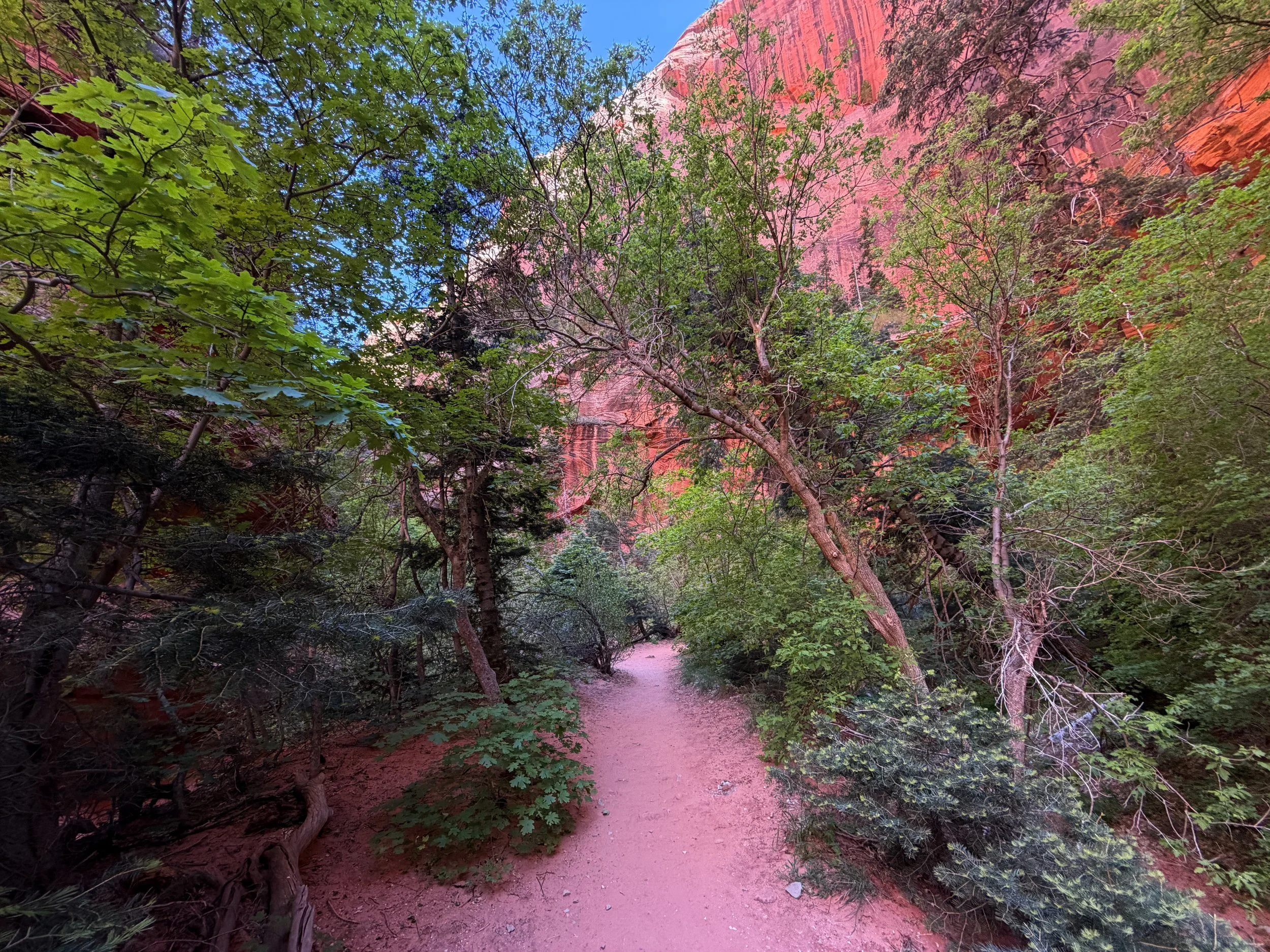 Taylor Creek Trail Zion National Park Utah
