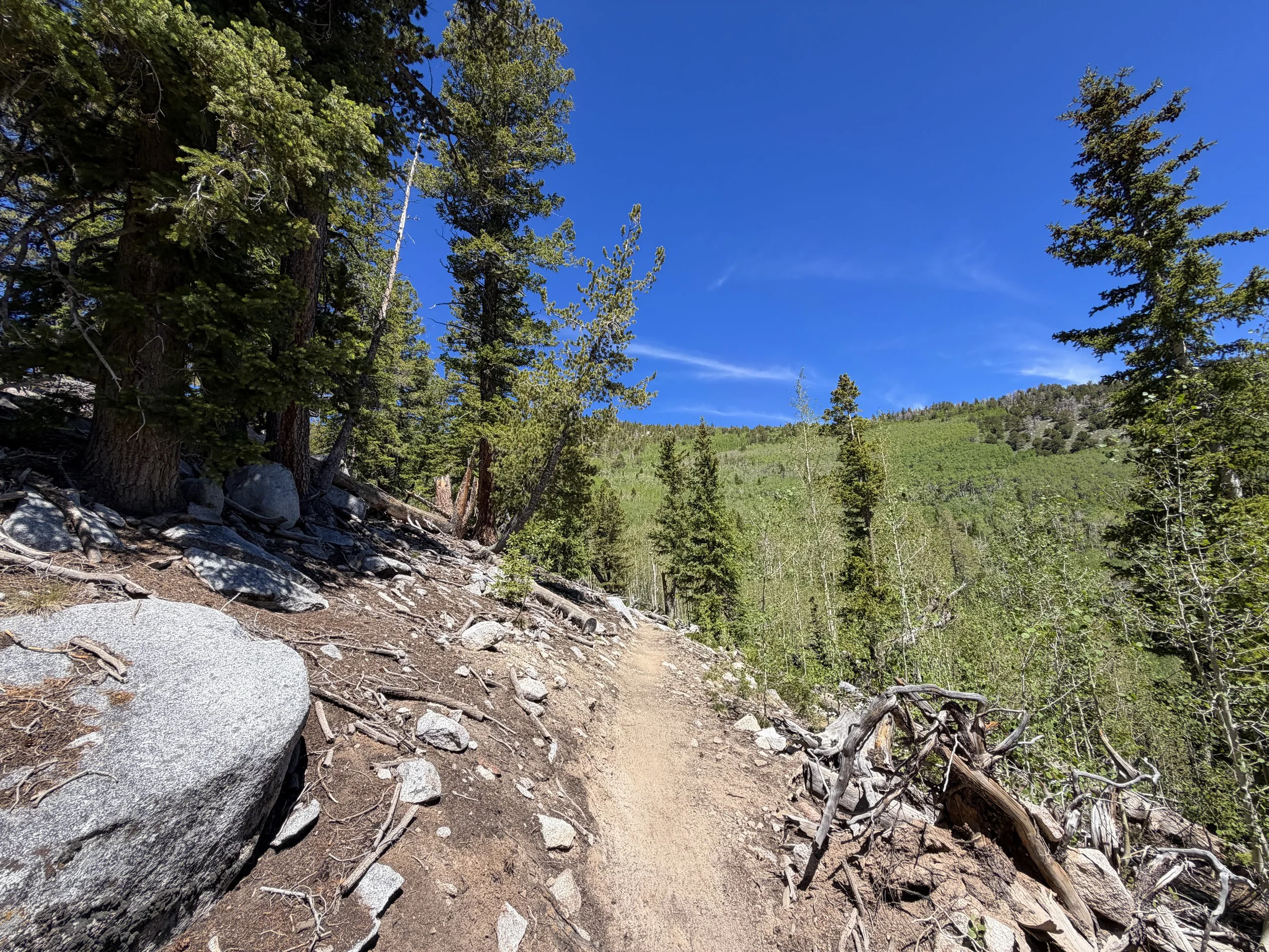 Dead Lake Trail Great Basin National Park Nevada