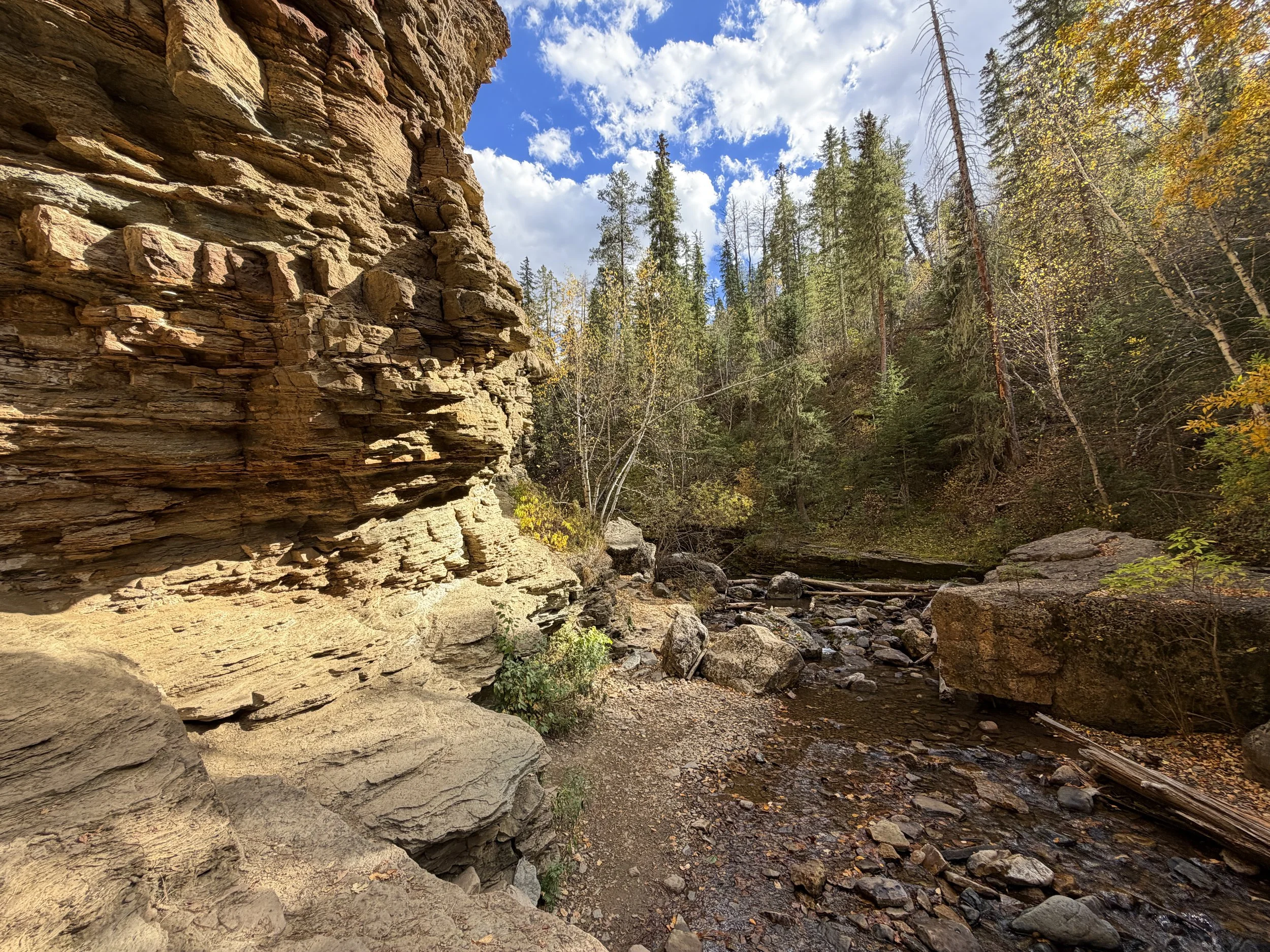 Devils Bathtub Trail Spearfish Canyon Black Hills South Dakota