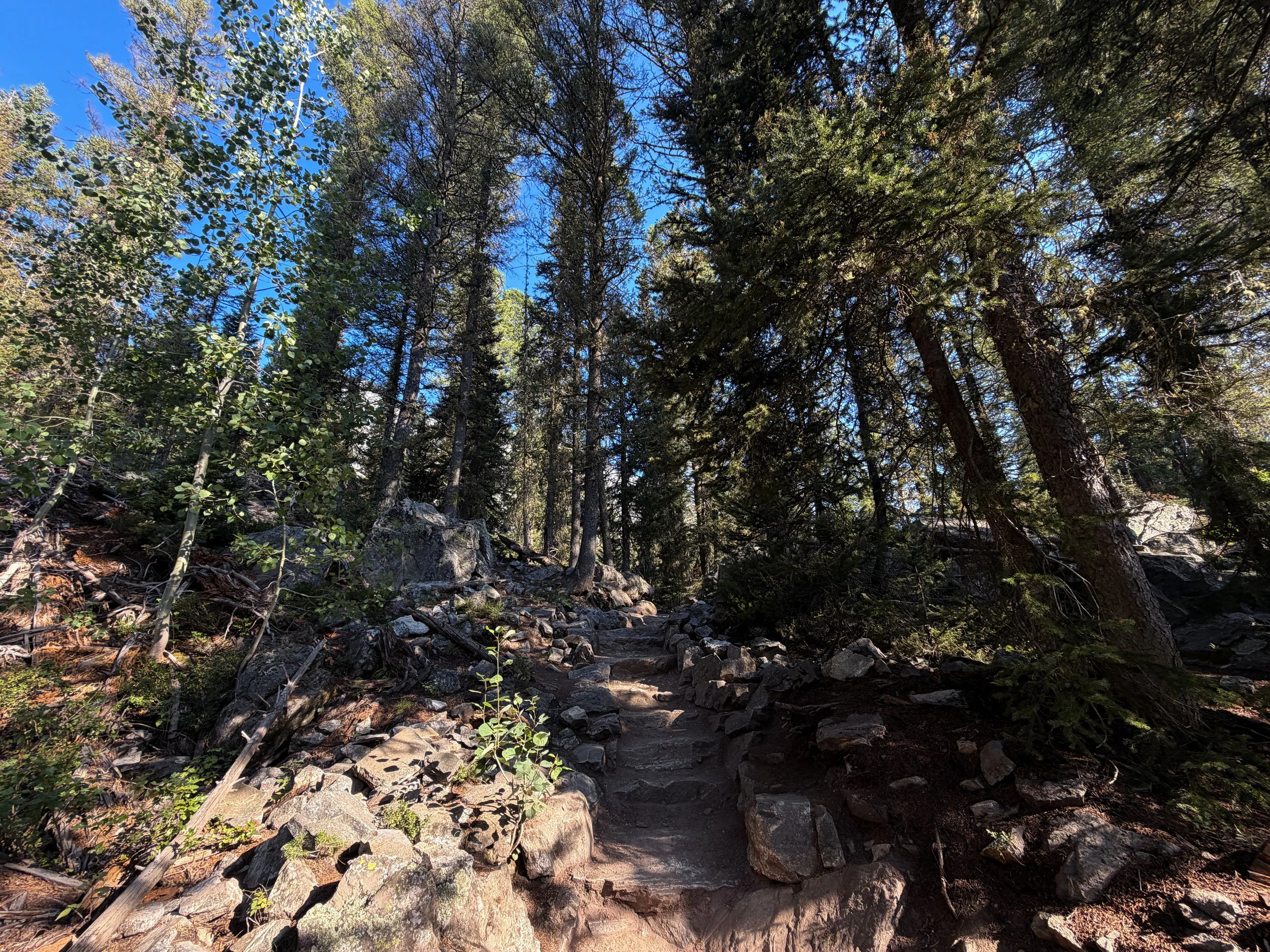Jenny Lake Loop Trail to Hidden Falls Grand Teton National Park Wyoming
