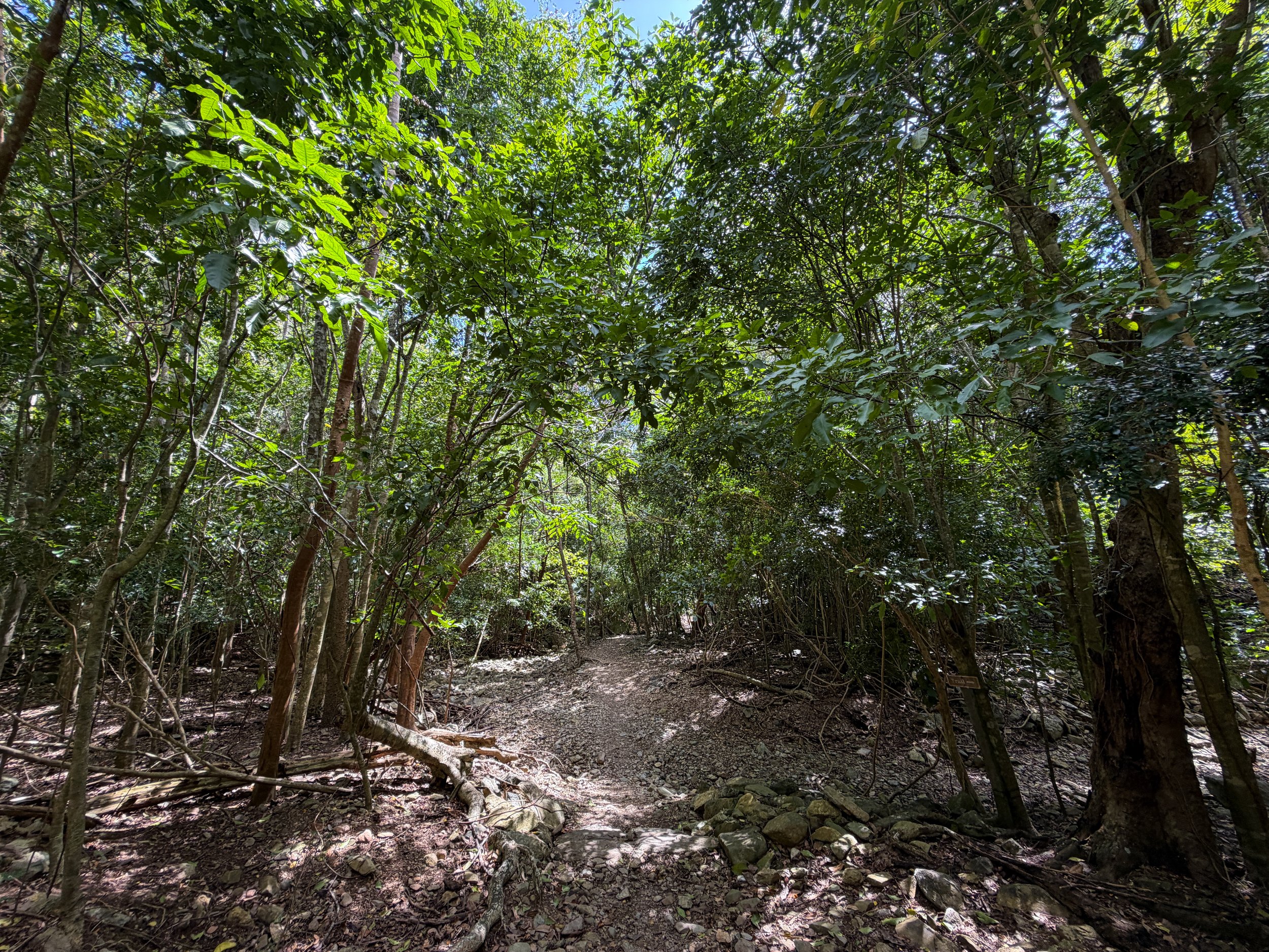 Reef Bay Trail Virgin Islands National Park