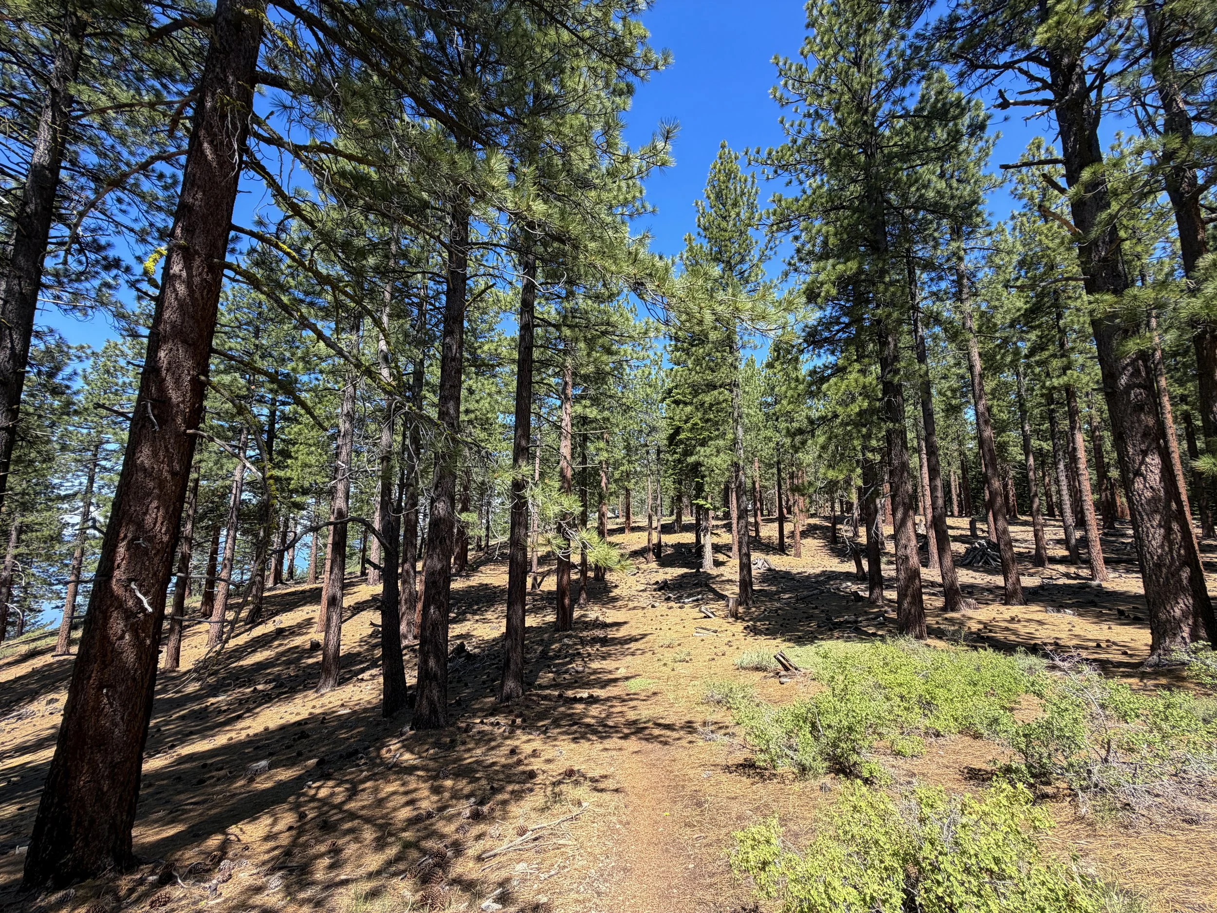 Captain Pomin Hike Lake Tahoe Nevada