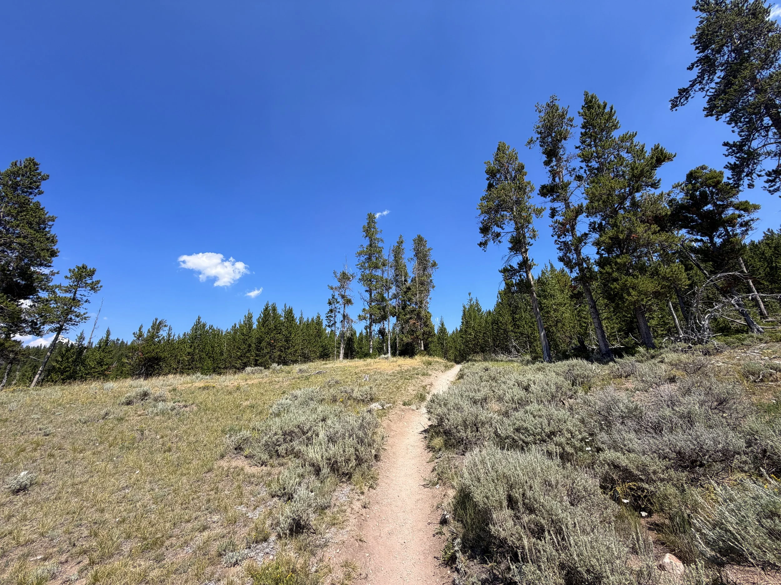 Bunsen Peak Trail Yellowstone National Park Wyoming