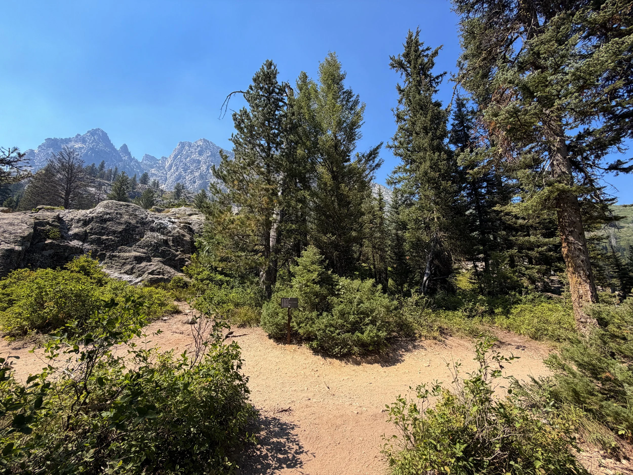 Jenny Lake Loop Trail Grand Teton National Park Wyoming
