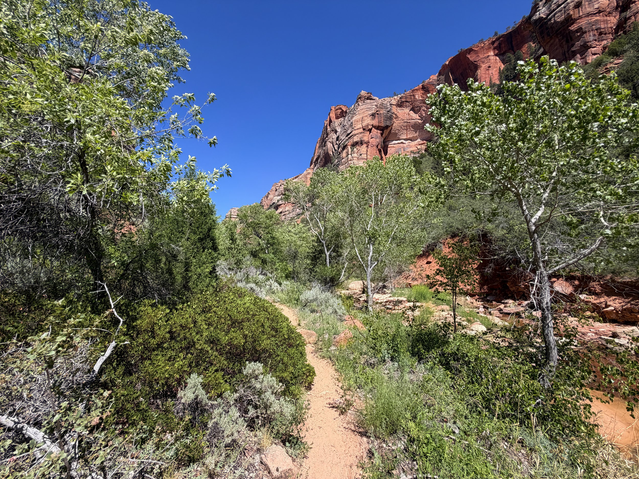 Subway Trail Left Fork North Creek Zion National Park Utah