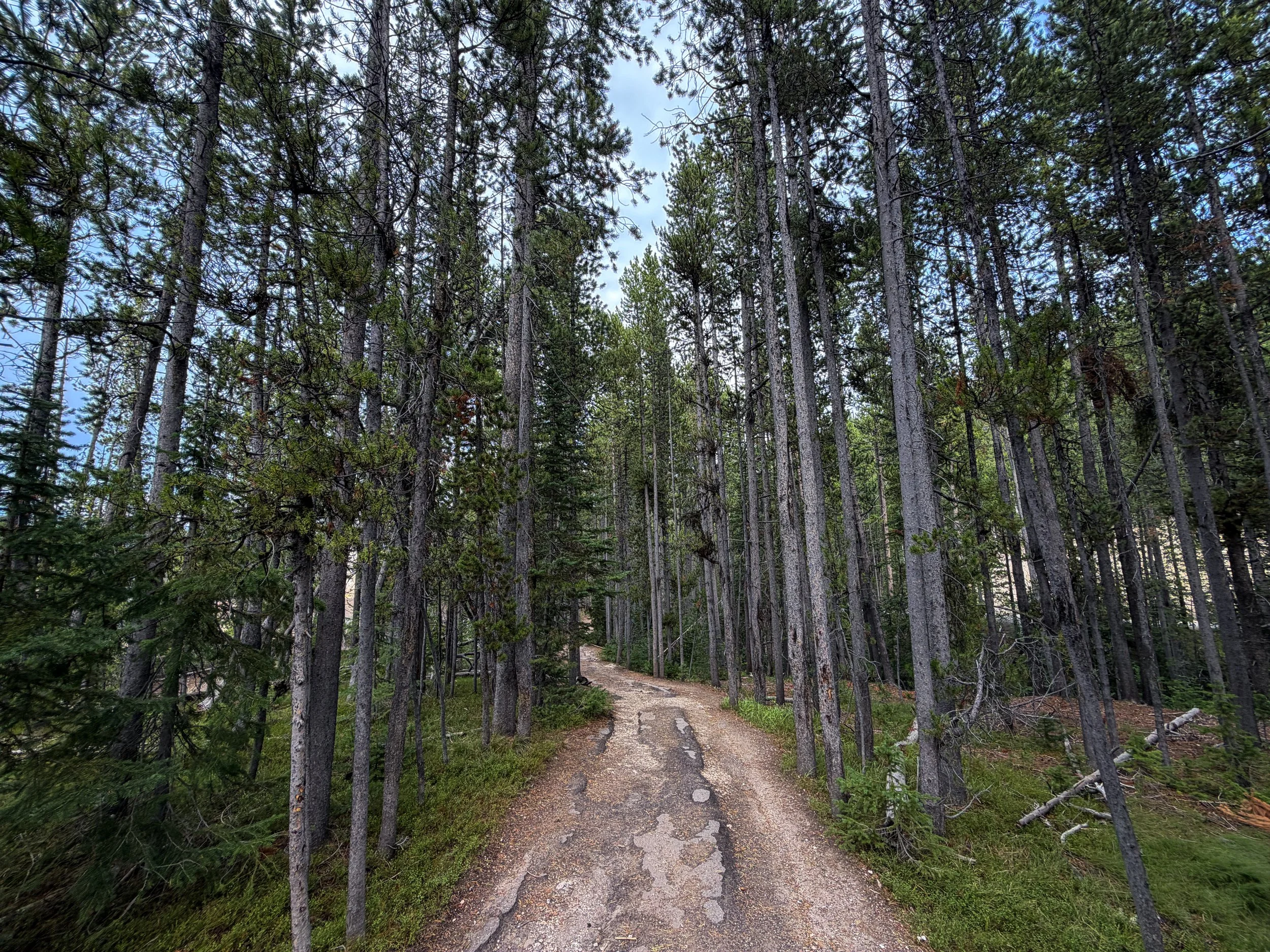 South Rim Trail Yellowstone National Park Wyoming