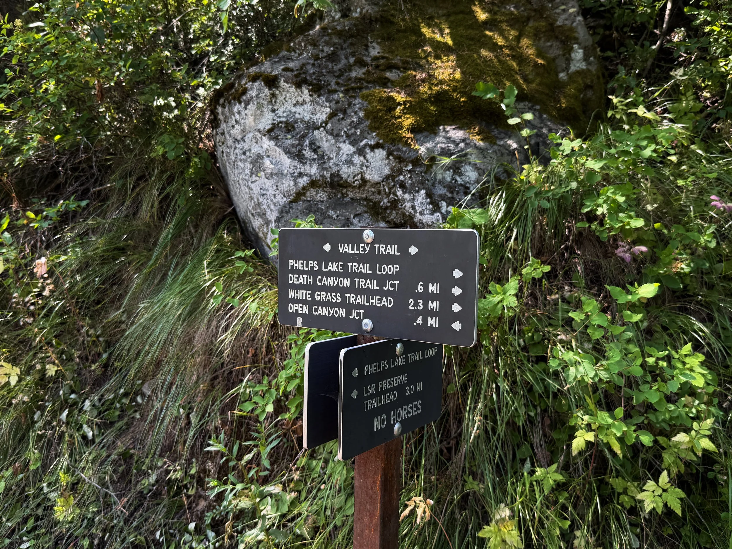 Phelps Lake Trail Grand Teton National Park Wyoming