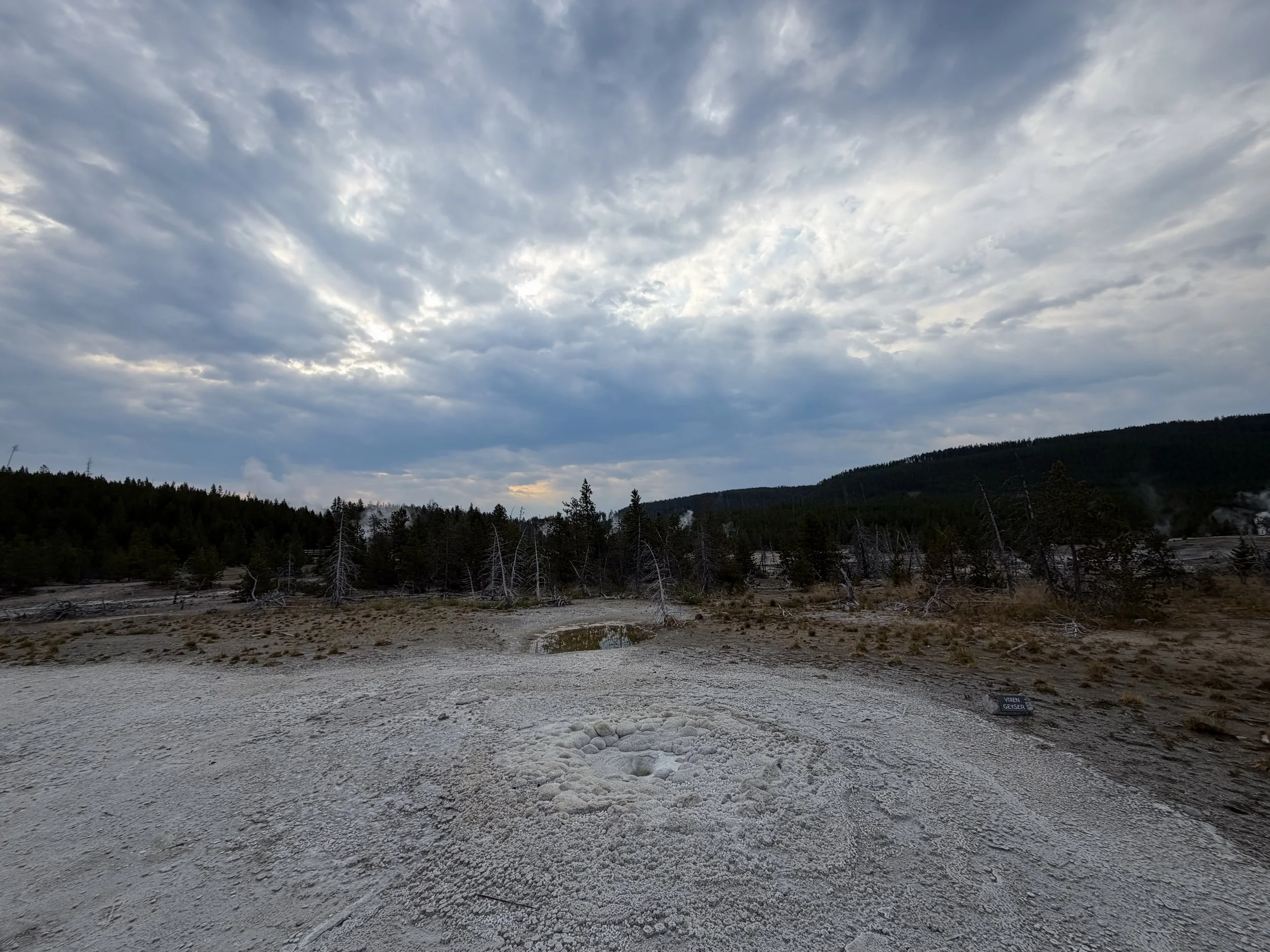 Vixen Geyser Norris Geyser Basin Trail Yellowstone National Park Wyoming