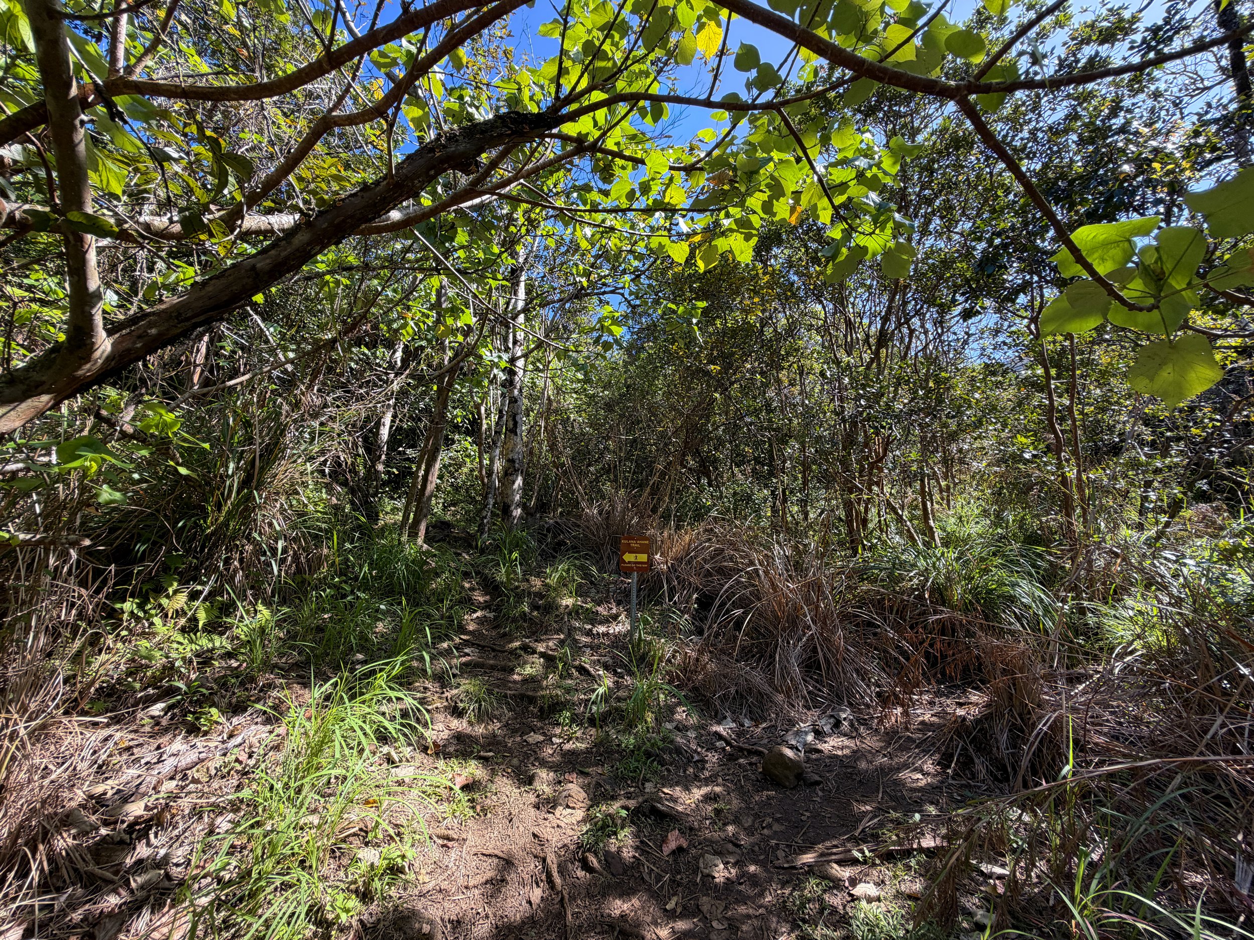 Kulanaahane Trailhead Oahu Hawaii