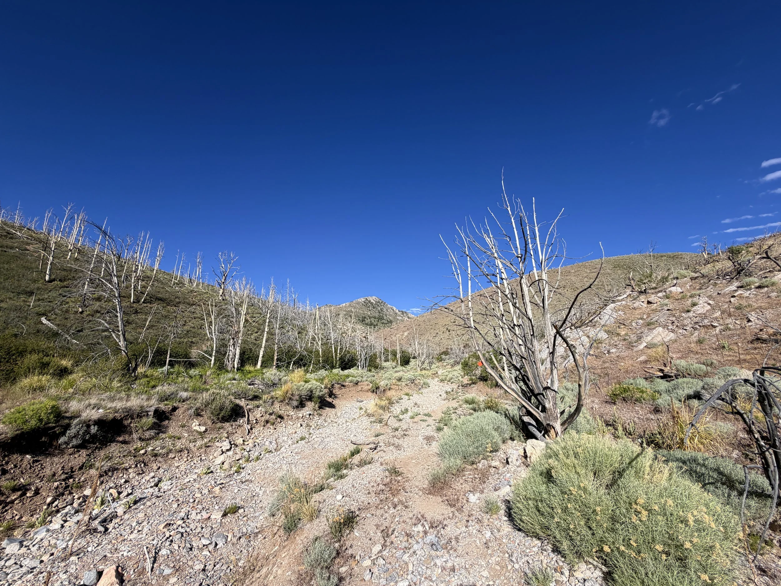 Lexington Arch Trail Great Basin National Park Nevada