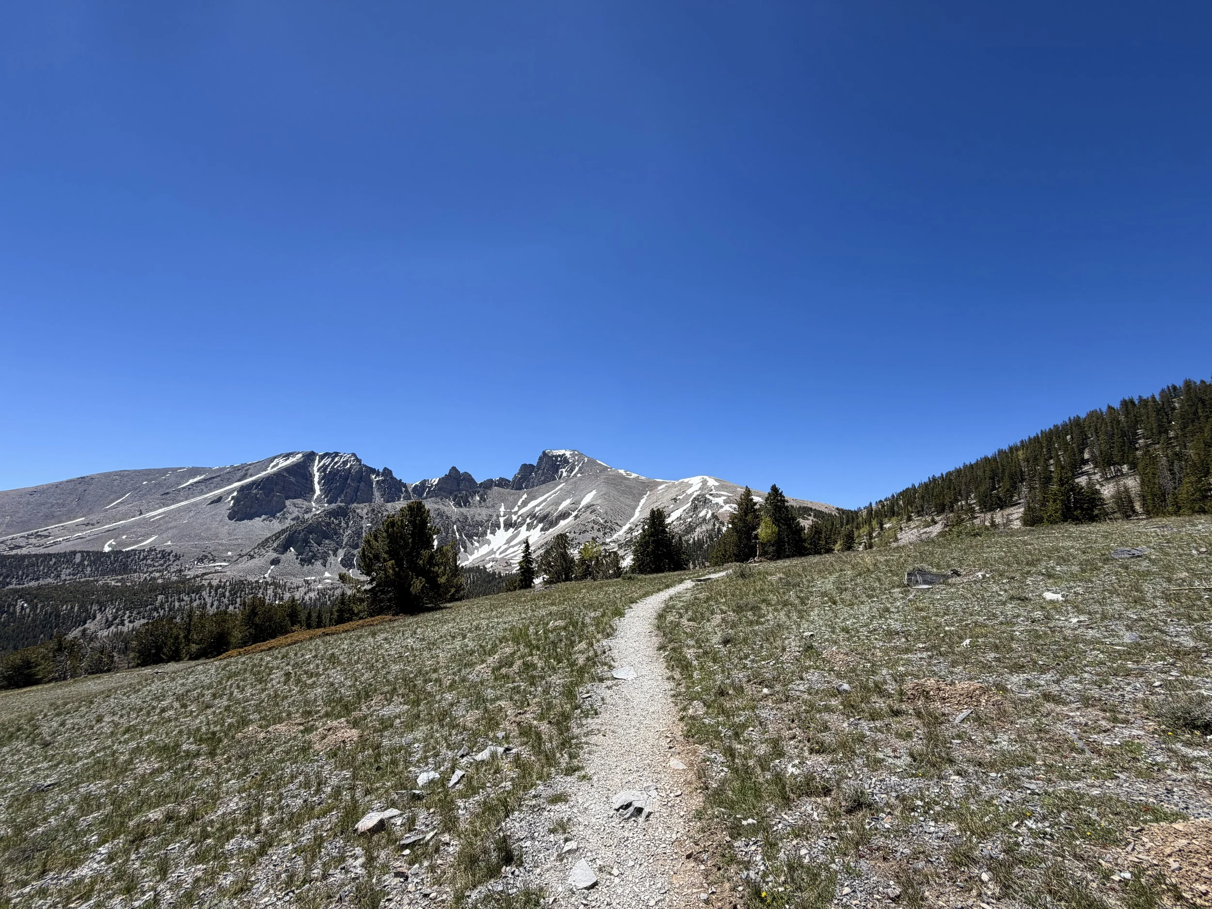 Wheeler Peak Hike Great Basin National Park Nevada