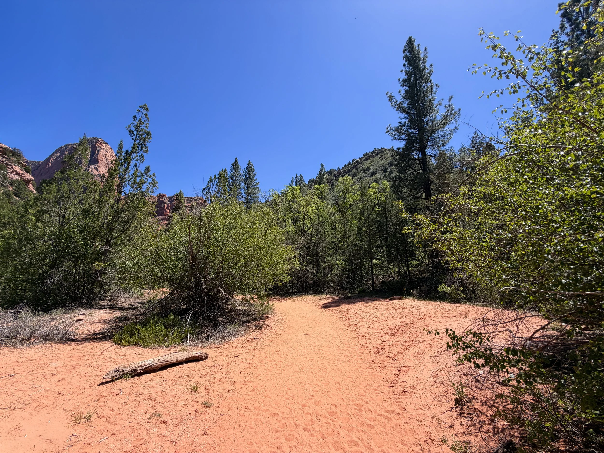 Middle Taylor Creek Hike Zion National Park Utah