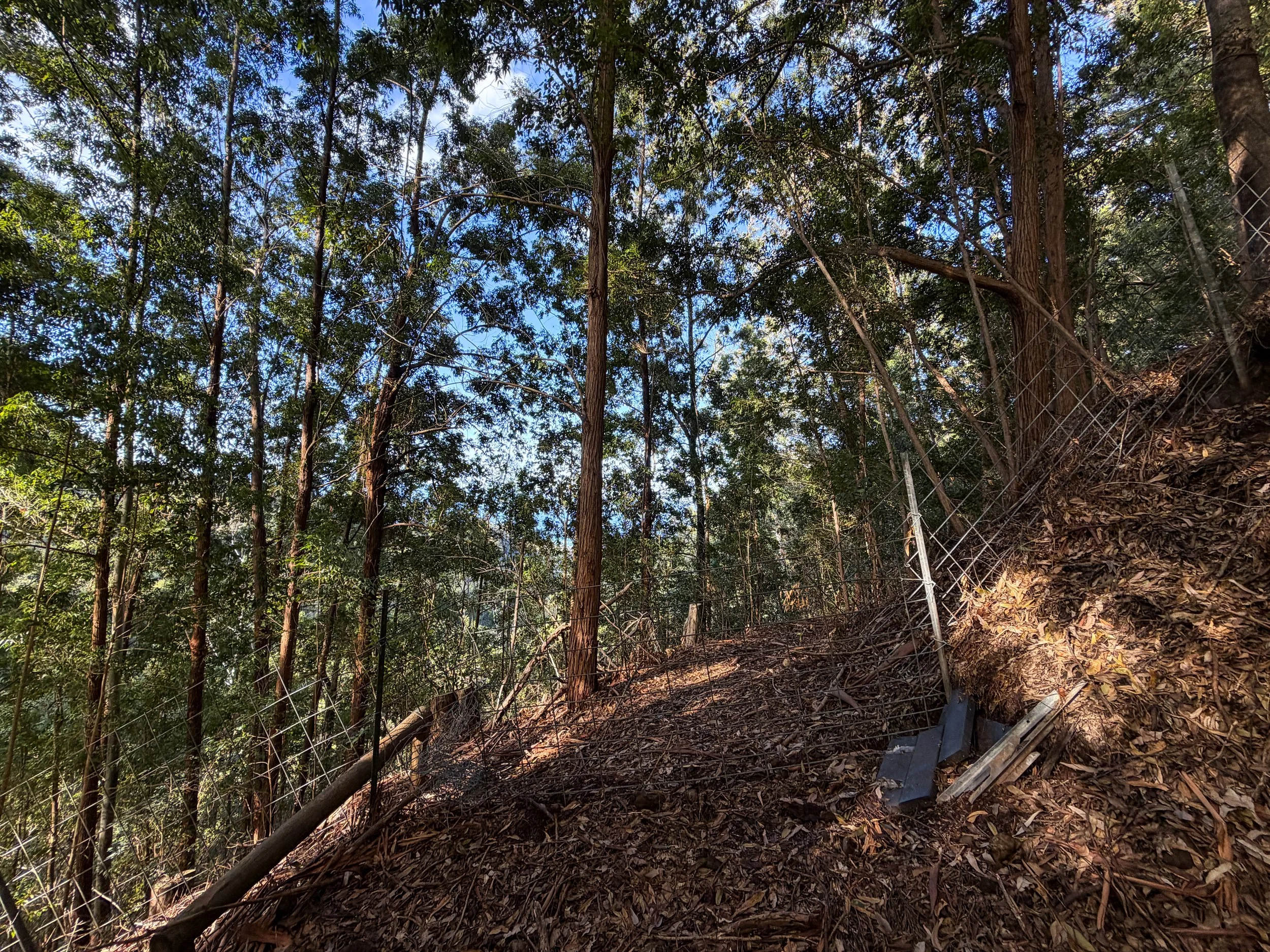Mokuleia Trail Peacock Flats Oahu Hawaii