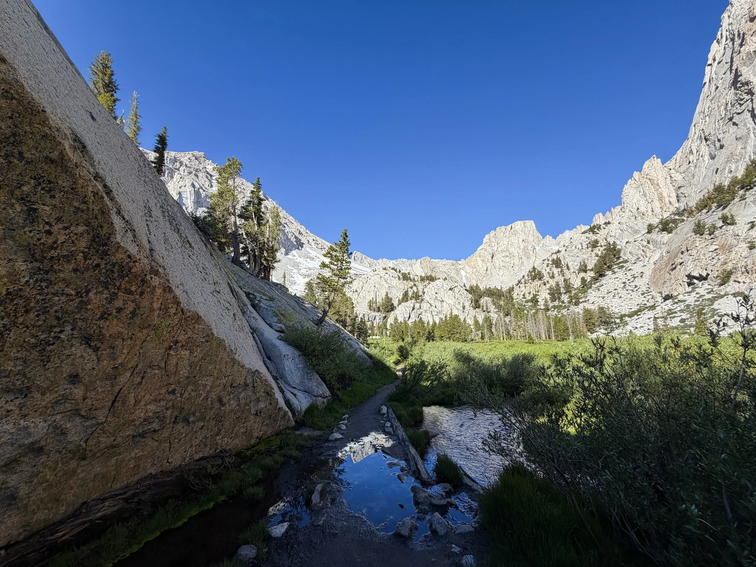 Bighorn Park Meadow Mount Whitney Trail California