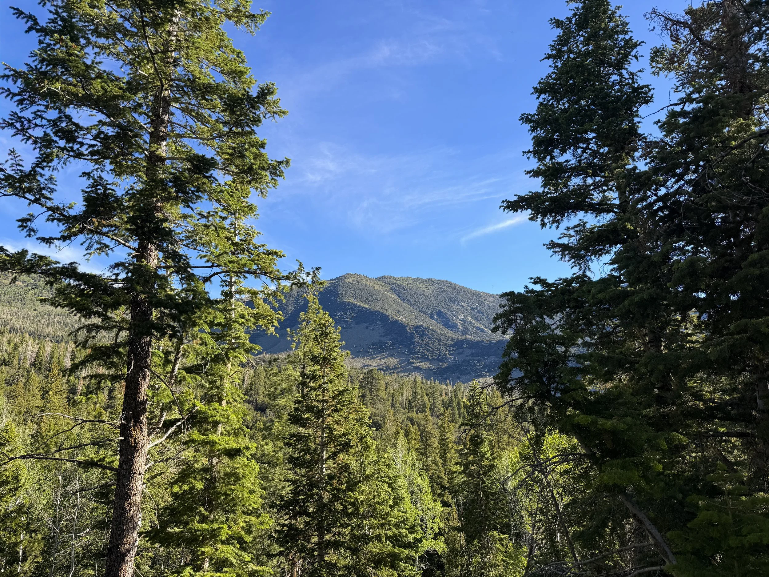 Snake Creek Overlook Great Basin National Park Nevada