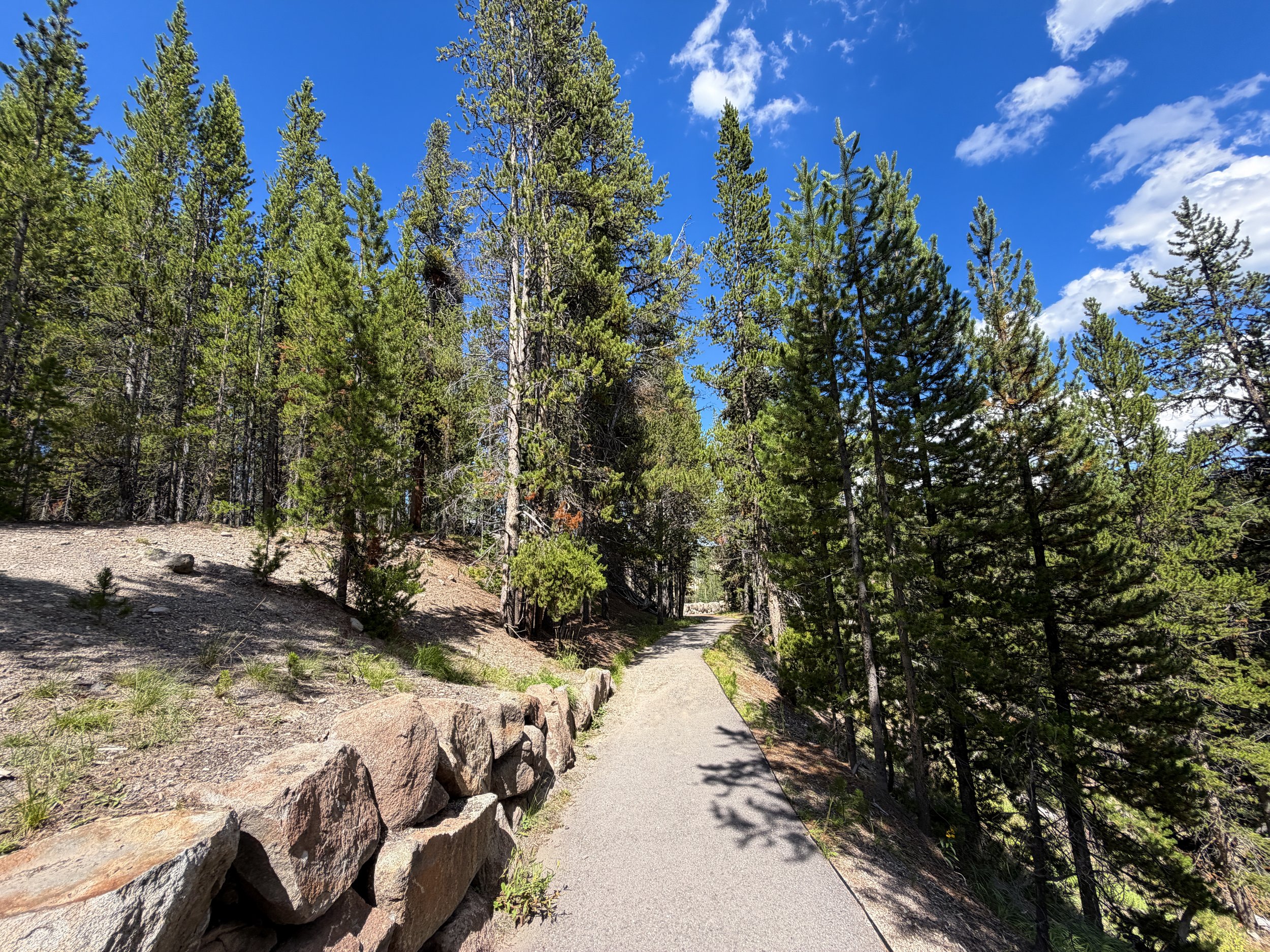 North Rim Trail Yellowstone National Park Wyoming