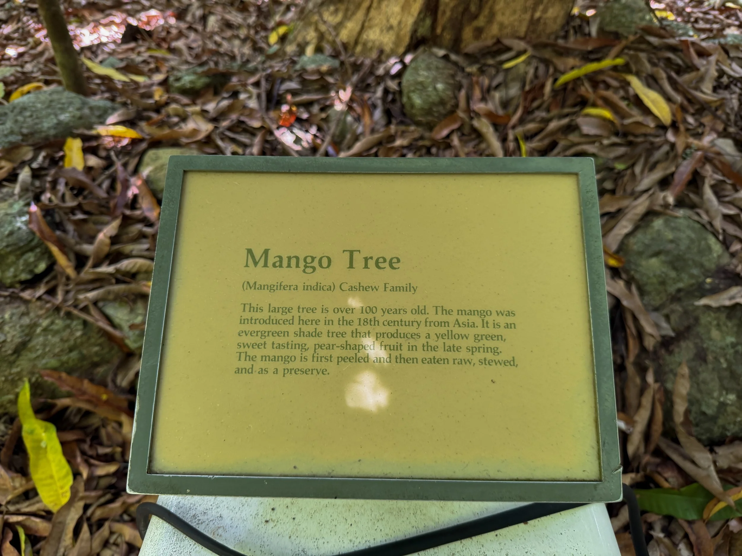 Reef Bay Trail Virgin Islands National Park