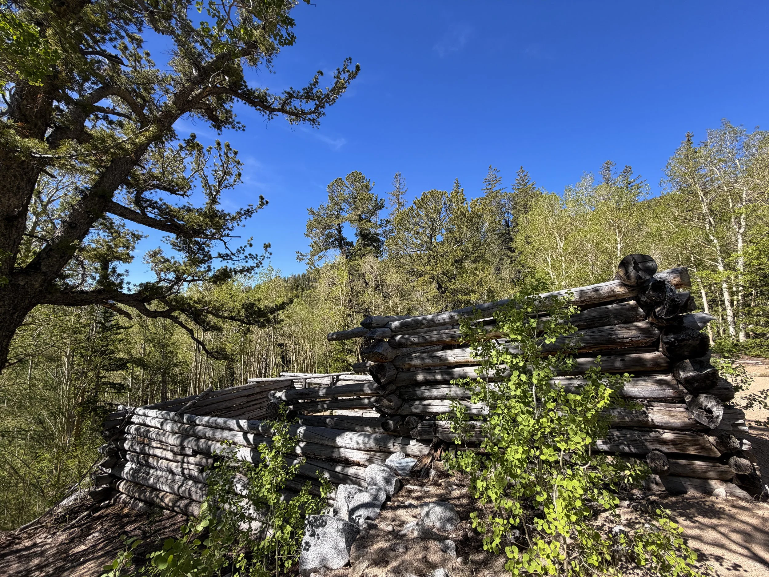 Johnson Mill Historic Site Johnson Lake Trail Great Basin National Park Nevada